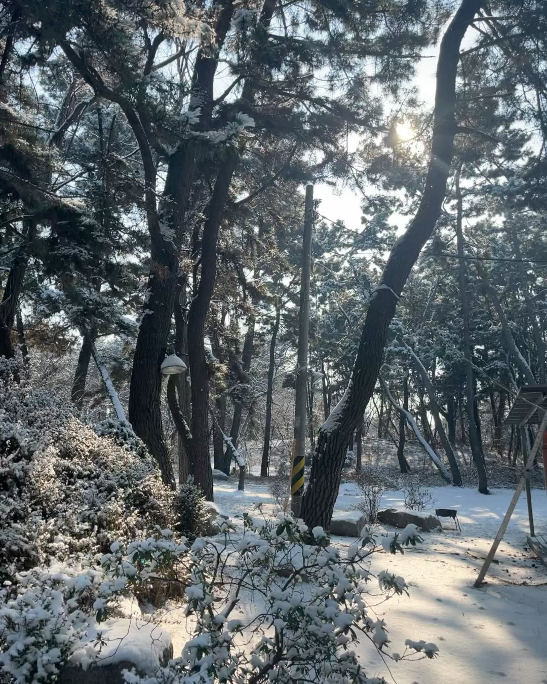 콘텐츠