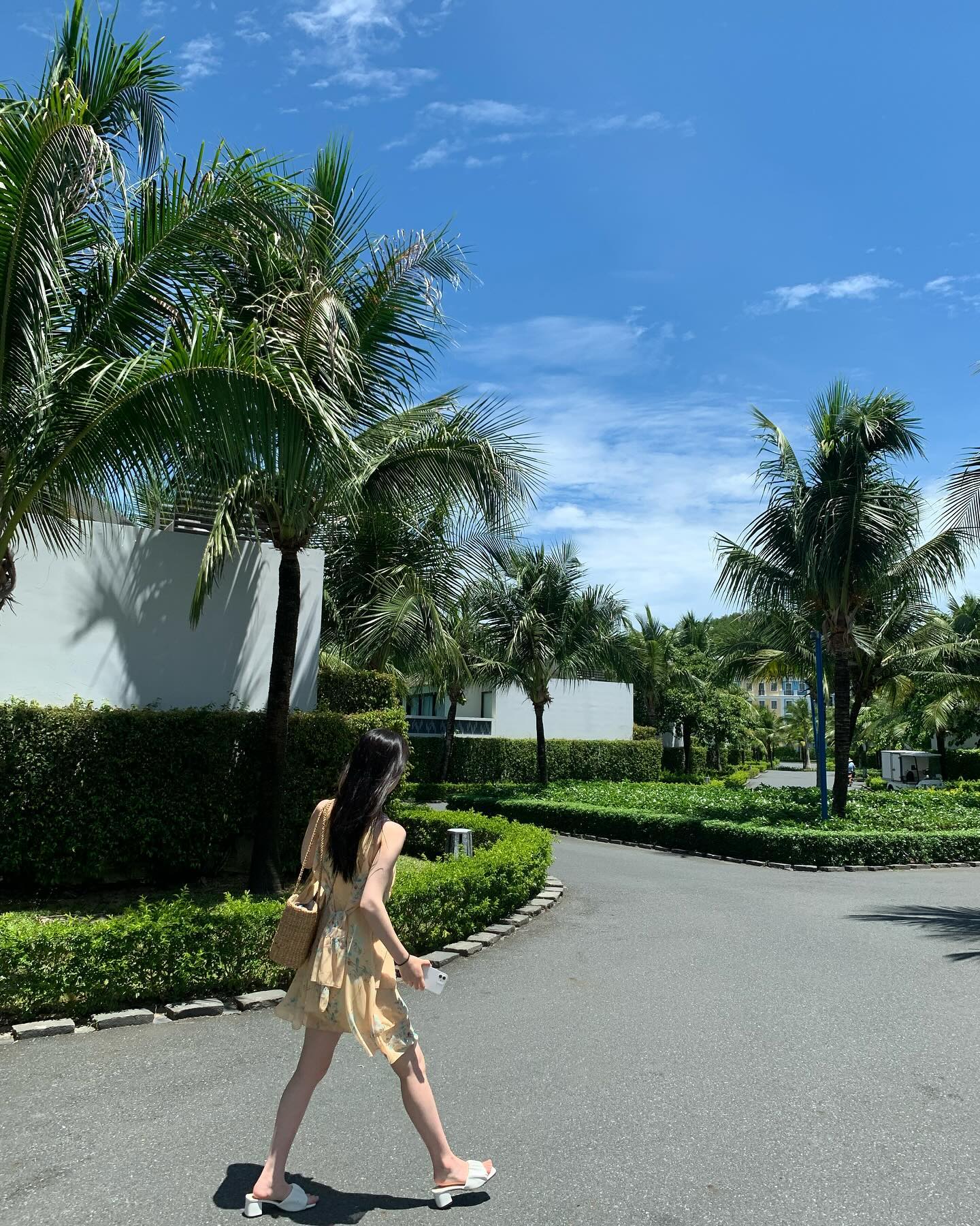 🇻🇳
버기를 기다리며 계속 걷는 노랑 여성👣