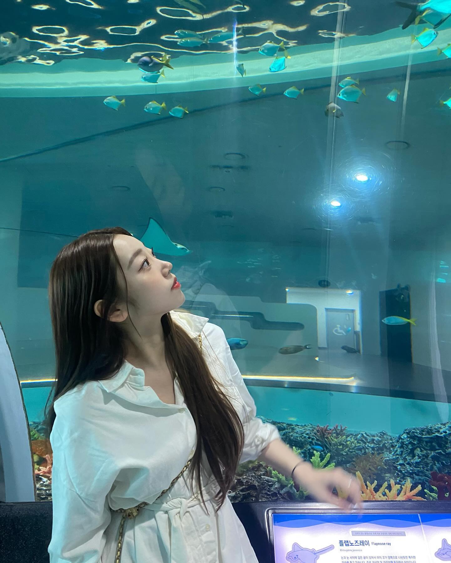 🐟🪼🫧🐠