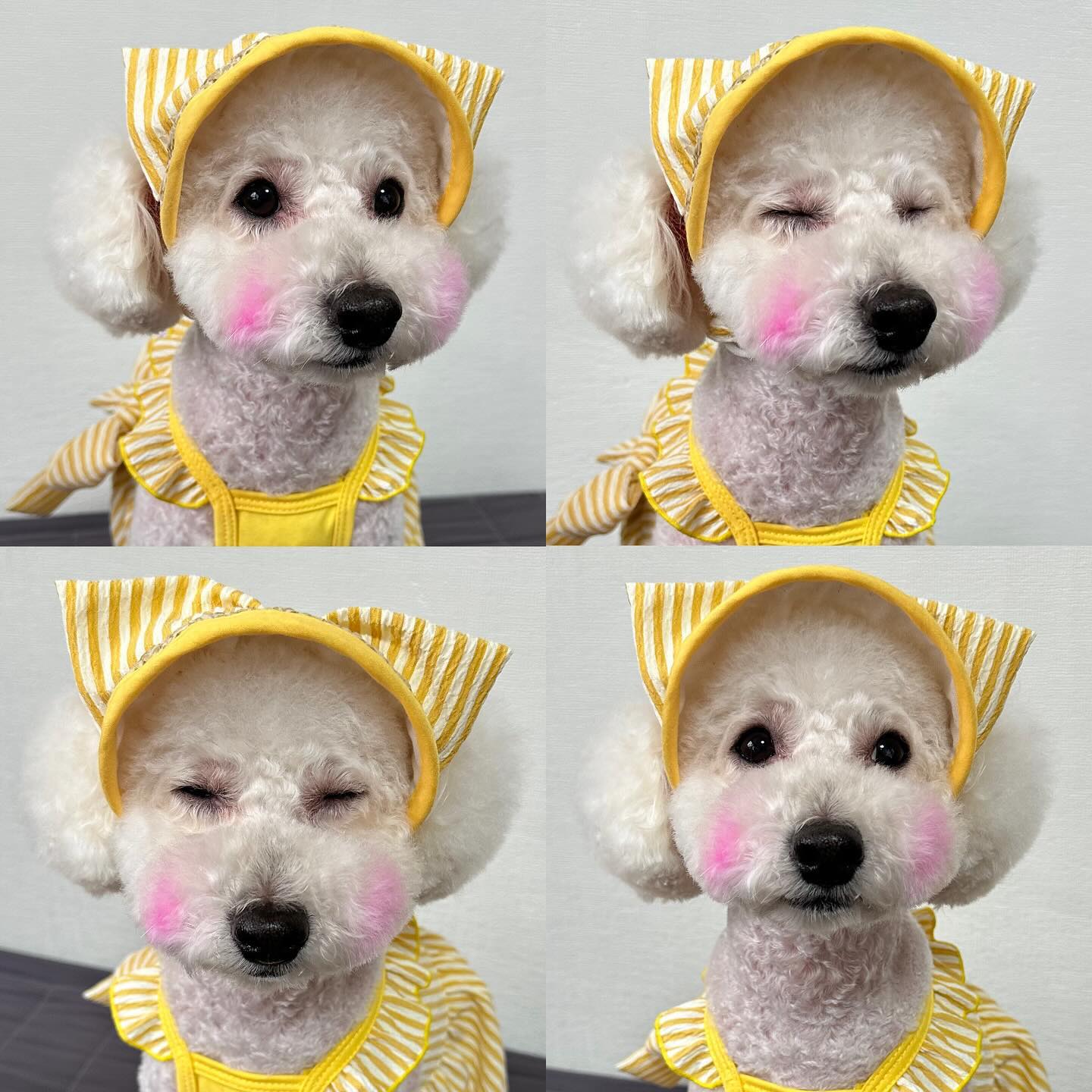 너무 귀여워서 올려야겠어😮‍💨
.
.
#일상