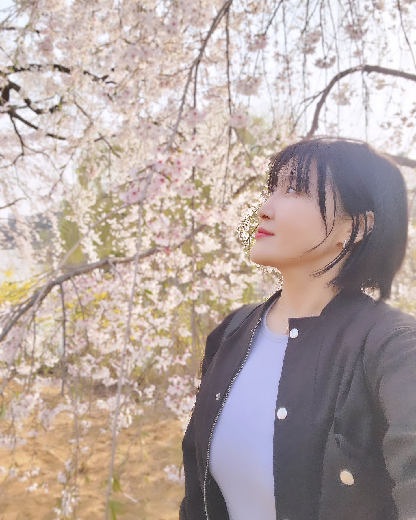 #호수공원나들이 #벚꽃구경 다녀왔어요.  진짜 사람들 많더라는.. 가족들이랑 피크닉 도시락 싸서 조만간 또 와야겠어요. 

#놀러가기좋은날  #봄날 #일상사진