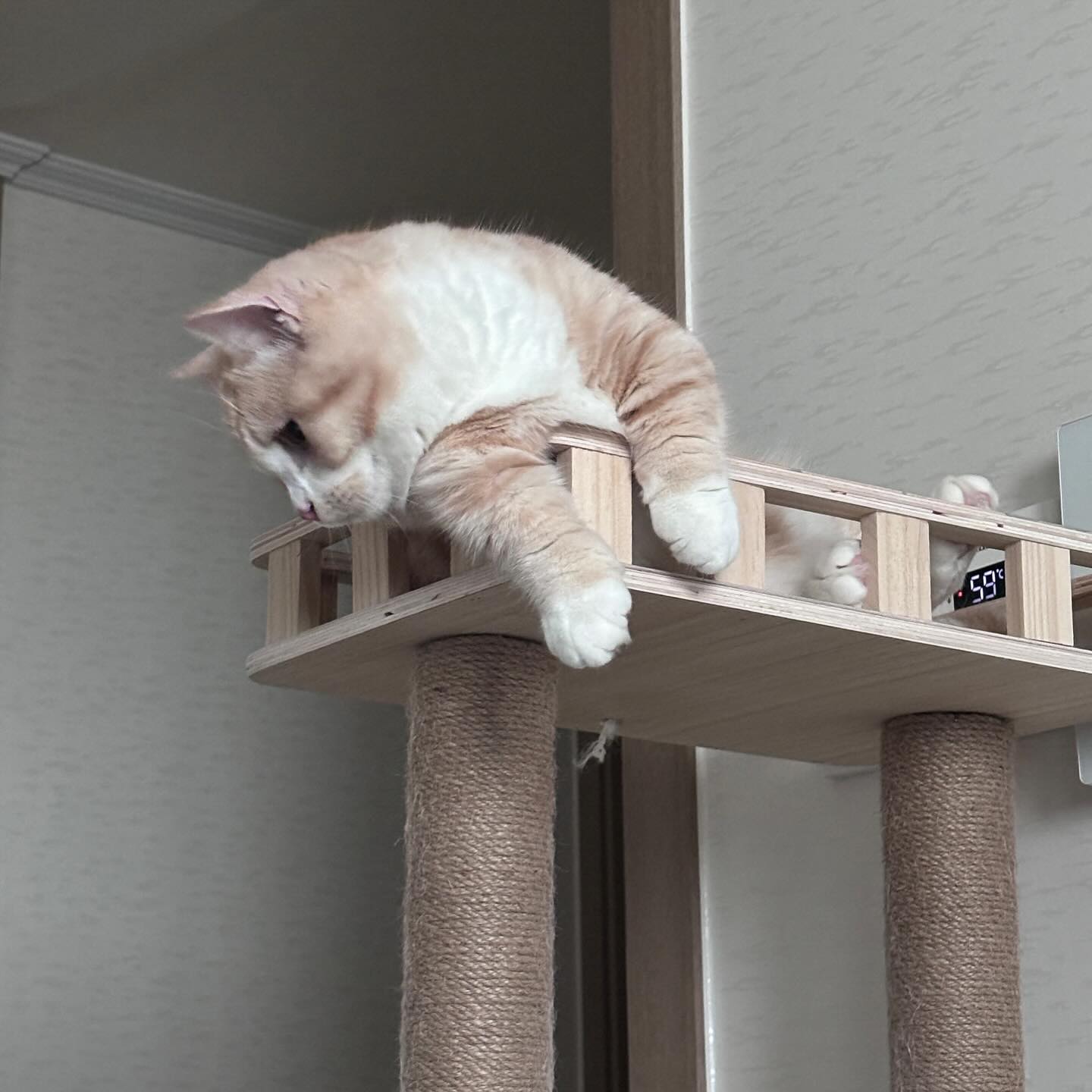 설에 친척집 갔는데 왔냐?하는 백수 사촌형아🐱