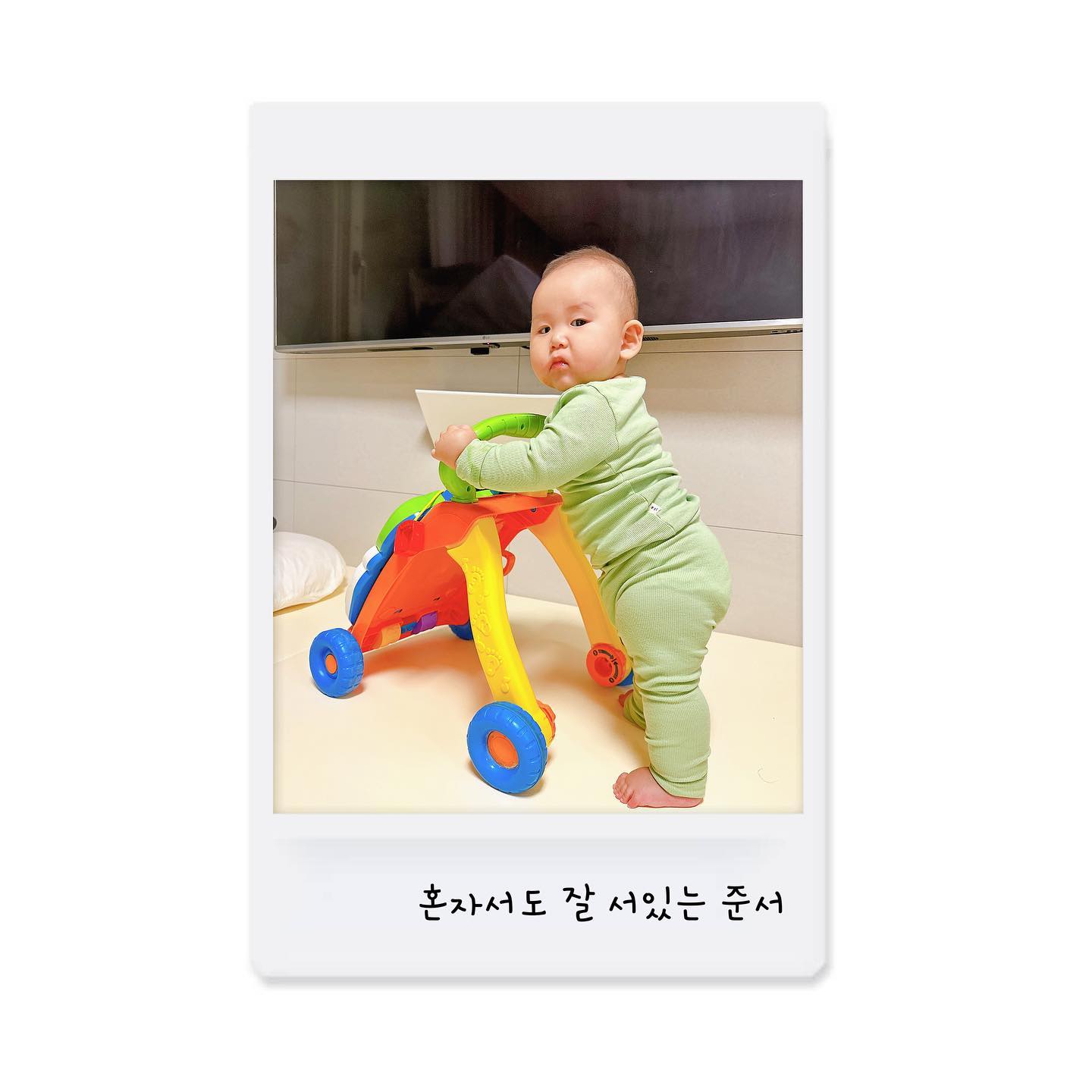 #태어난지215일째

요즘 준서가 자꾸 엄마를 즈려 밟고 일어서려 하길래,
걸음마보조기를 꺼내보았어요🤍

전에는 힘없이 주저 앉았었는데, 이제 제법 힘이 생겼는지
버티고 앞으로 나아가려 하네요!

영상이랑 사진 다시 돌려보는데 그래 저 허벅지로
버텨야지ㅋㅋㅋㅋㅋ생각이😆😆(아주 꿀벅지)
오늘도 한뼘 자란 오준서 칭찬해 아쥬🫶🏻