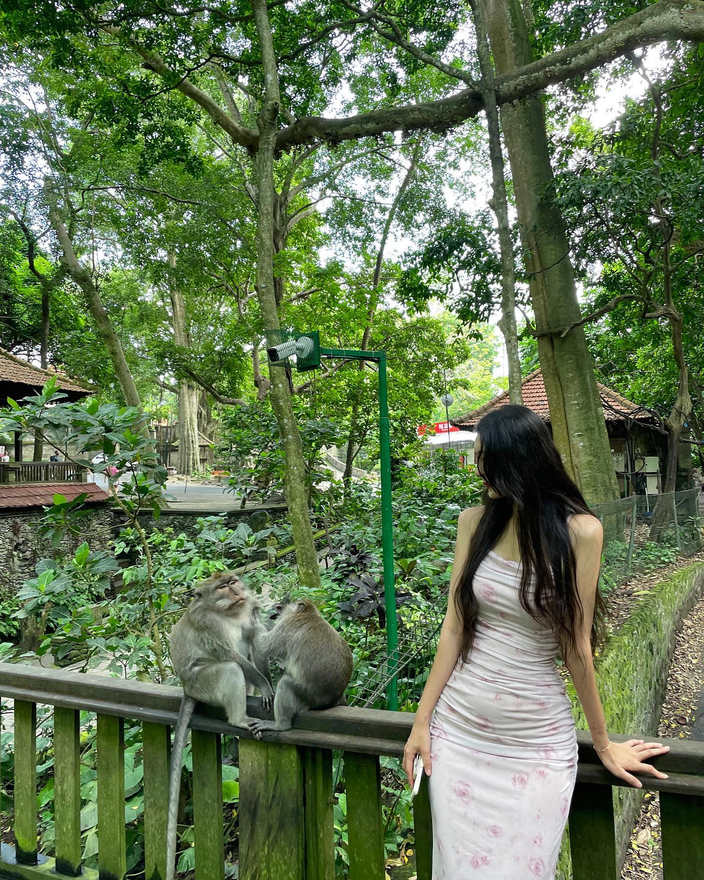 원숭이 마을에 침범했던 날🐒🐒

근데 진짜 너무 귀여운데 

성질이 어마 무시했ㄷㅏ,,🤦🏻‍♀️