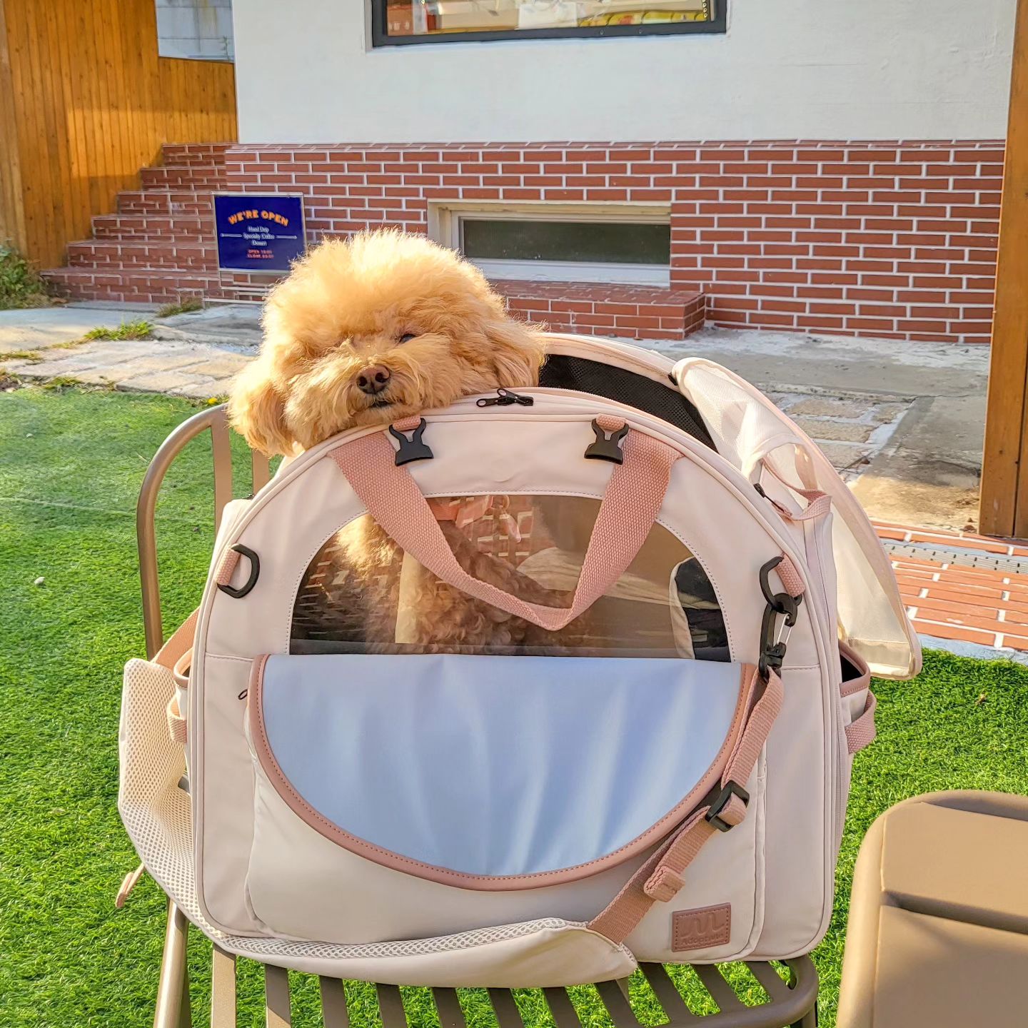 🐶: 여긴어디,,난 누구,,,
💁‍♀️: 여긴 웨더베인, 너눈 귀염둥이

야탑 애견동반카페 웨더베인 다녀왔찌
야외에 앉고 싶어서 마당있는데로 골라왔는데 실내는 안되유🙅‍♀️

당땡겨서 초코크림가득 올라간 타르트 시켰는데 맛은 걍 그랫어여,,머쓱
걍 날씨좋은날 때구랑 같이가기 조았다~~

지꺼 없는거 이미 눈치챈 때구는 카페에 있는내내 삐져가지구 어답트미 가방안에서 눈도 안 마주쳐줌🤣

그러라구 태워다니는 가방아닌데!!

때구의 이동식 숨숨집 adoptme.co.kr
#강아지가방 #강아지이동가방 #애견카페 #반려견동반카페 #어답트미쉽고백팩