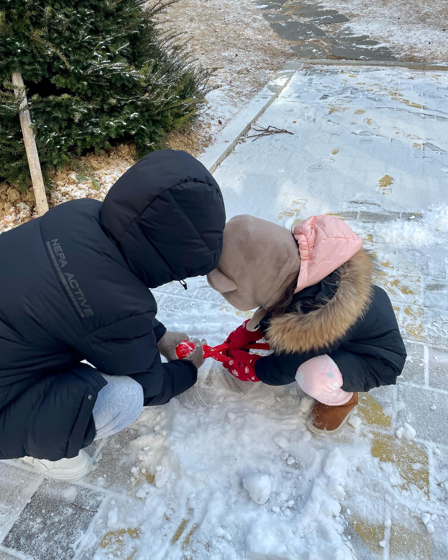 콩나물이 사랑하는 고모들과 크리스마스 이브🎄
게임내내 당하는 내가 서러운것 빼곤 종일 웃고 즐거웠던 하루

#우리집_콩나물 
#크리스마스이브 #christmas_eve🎄 
#슈퍼마리오가날억까한다 #이거문제있음 #닌텐도나한테왜구랩
#케이크는오유브레드 #오유브레드 #별내오유브레드 
#케이크맛집 #딸기케이크맛집🍰 #딸기가많아_케이크아닌듯한 
#잘먹고잘놀았지요❤