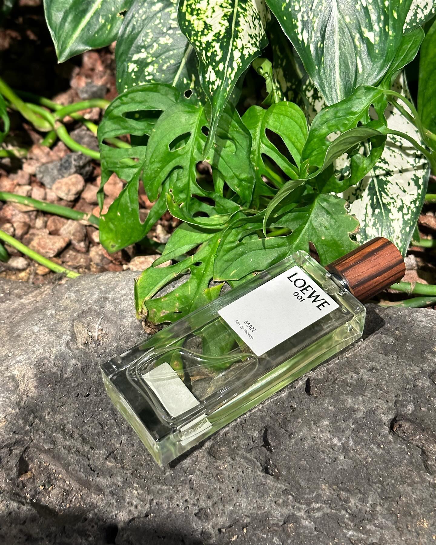 #제품협찬 #광고 loewe_perfumes 

🔶로에베 압구정 갤러리아 명품관🔶
프리미엄 향수 브랜드 ‘로에베 퍼퓸’이 국내 공식 론칭과 2월 1일 갤러리아 백화점 명품관 WEST 1층에 국내 첫 단독 매장을 오픈했다.

170여년 전통을 지닌 글로벌 명품 브랜드 ‘로에베(LOEWE)’가 1972년 첫 향수를 출시하면서 시작된 ‘로에베 퍼퓸’은 자연에서 영감을 받은 색상과 향기, 감정을 향수에 담아내는 것을 컨셉으로 자연 질감의 나무 캡과 무지개를 연상시키는 색색깔의 심플한 컬럭 블록 보틀, 아티스트의 작품을 담은 패키지로 유명한 럭셔리 향수 브랜드이다. 또한, 로에베 퍼퓸의 모든 제품은 고유의 DNA인 장인정신에 입각해 제작되며 유기적이면서도 자연스럽고 가공되지 않은 순수함을 강조하고 있다.
 
로에베 퍼퓸의 대표 향수로는 ‘조나단 앤더슨’의 리드 아래 창작된 컬렉션 중 하나인 로에베 퍼퓸의 시그니처 향수 ‘로에베 001’을 비롯해 ‘아이레 수틸레사’, ‘에센시아’ 등 다양한 향수들이 있다.
 
#갤러리아백화점압구정 매장에서는 다양한 퍼퓸 컬렉션과 함께 향초, 홈 프래그런스 등의 홈 센트 컬렉션, 로에베의 가죽에 대한 장인 정신을 엿볼 수 있는 캔들 커버 등의 홈 센트 액세서리와 솝 컬렉션 등의 제품을 만나 볼 수 있다.

🔷로에베 001맨 오드퍼퓸🔷

탑노트 - 베르가못, 가르디온, 베티버 
미들노트 - 샌달우드, 싸이프러스, 암브레드 베이스베이스 노트 - 머스크, 바이올렛에센스, 인도네시안 패츌리

이른 아침, 창밖에서 들어오는 햇살에 영감을 받아 탄생한 001 향수이다. 우디향과 머스크향의 매력적인 조합의 #남자향수 이다. 첫 향의 베르가못의 상큼함과으로 시작 되어 신선하고 스파이시하면서도 샌달우드 향과 머스크향 + 우디향의 정석과도 겉은 향이다. 남자향수지만 중성적인 #니치향수 로 남녀노소 쓰기 좋은 #명품향수 이다. 은은한 잔향감이 상당히 매력적인데 역시나 베스트향수는 이유가 있는법이다. 한국 매장오픈으로 쉽게 이제 접할 수 있게 되었다.

🎁 Edt 50ml : 168,000원 / 100ml : 229,000원

#로에베퍼퓸 #로에베 #로에베향수 #로에베001 #아이레수틸레사 #향수추천 #향수선물 #명품향수 #갤러리아 #갤러리아백화점 #압구정갤러리아 #한국로예베 #향수리뷰