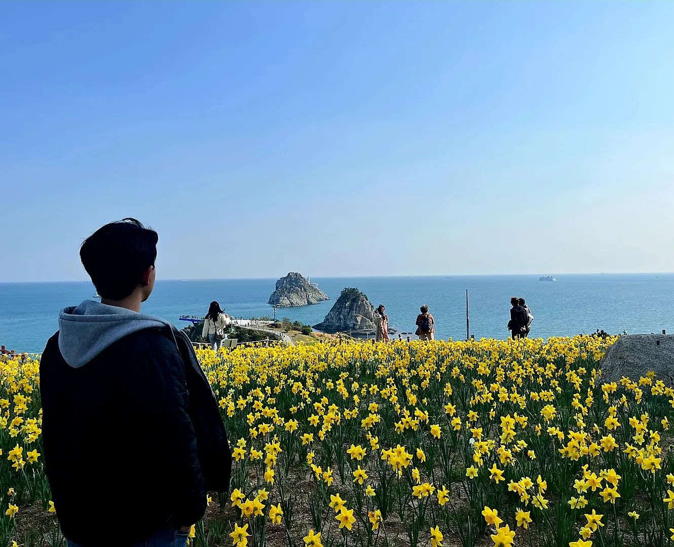 꼬ㅊ을 든 남자~ 🏵 🌷 🌺 🌻 💐 
.
.
.
.
.
#수선화 #꽃 #바다 #해맞이공원