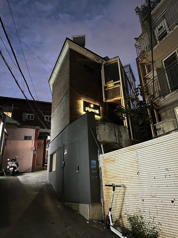 갤러리피그먼트
