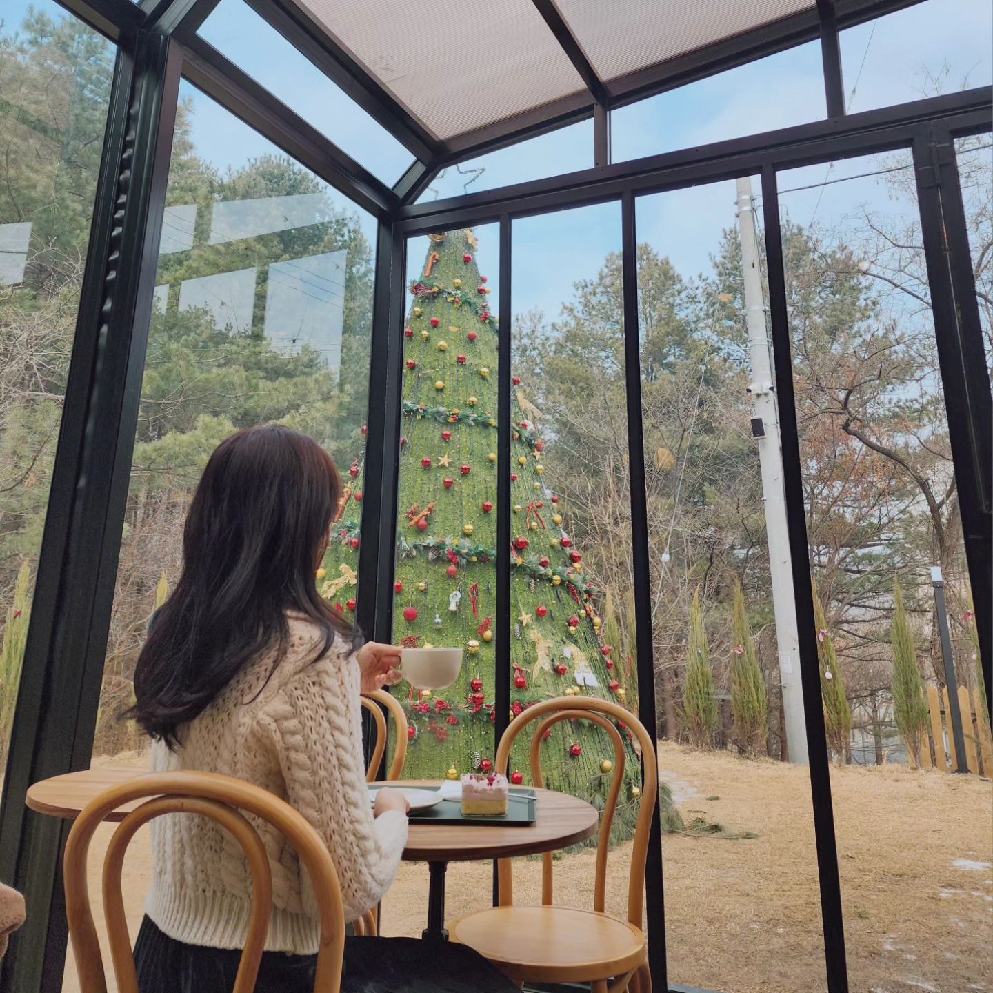 혼자 여유 즐기고 왔던 날❤️
릴스만 올리기 아쉬워 사진도 올려봐요

앞모습은 셀카만 올릴수 있지만 이날 찍었던 사진들 다 마음에 드네요🤭

앞모습 사진이 갈수록 마음에 안드는걸보니 저도 나이가 들어가는것 같아요😂😂

올해는 이렇게 혼자 즐기는 시간도 더 있었음 좋겠네요!

#레포레스트 #대전카페 #덕명동카페 #한밭대카페 #유성카페 #대전숲속카페 #대전대형카페 #혼자만의시간