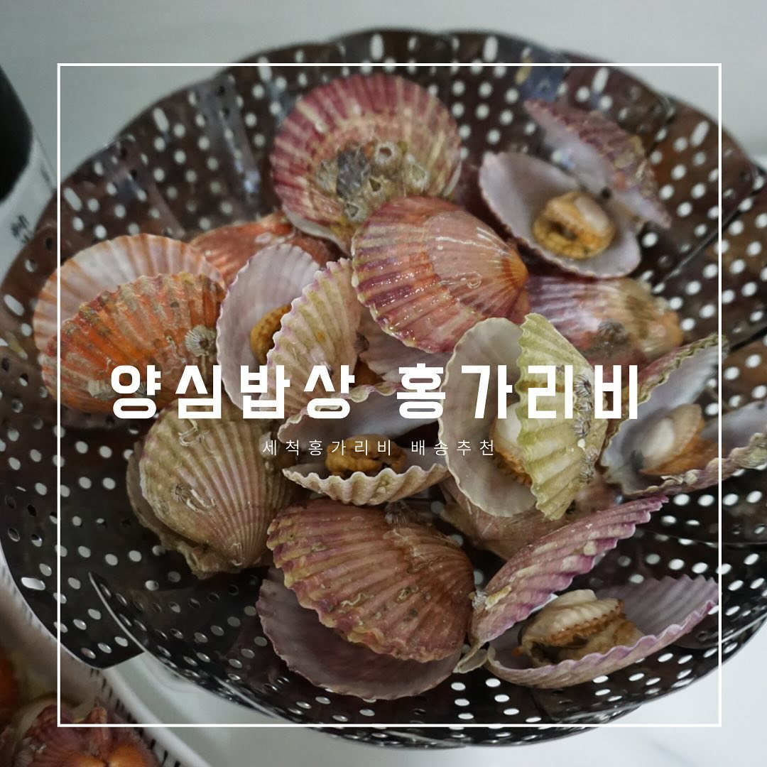 yangsim_store  #양심밥상 #홍가리비 
.
세척되서 나와 손쉽게 가리비를 먹을 수 있다! 
통통하고 해감잘된 가리비에 한잔 어떠세요?
제철 통영 홍가리비로 추천드려요🩷
#제철음식 #제청홍가리비 #세척홍가리비 #산지직송가리비 #가리비추천 #협찬