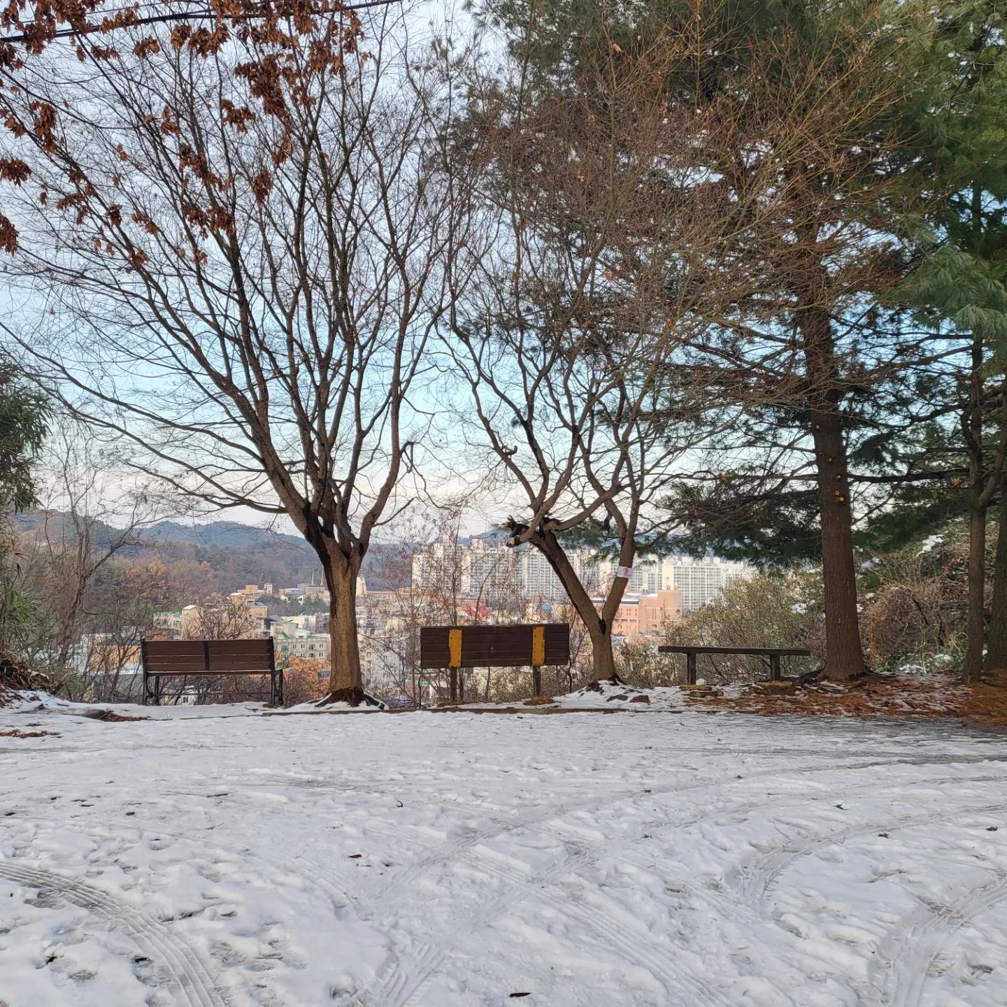 ♡ 눈덮인 산 ♡

단풍이 물들었을때와는 또 다른 산
요샌 사계절을 크게 느끼고 있는데
자연을 많이 보게 되서 그런걸까?
아님 나이 들어서 그런 건가 ?

암튼 요샌 자연이 주는 선물을 만끽하고 있는듯 싶다 ♡

#일곡동 #한새봉 #오르기
#뒷산오르기 #뒷산등산
#등산스타그램
#일몰맛집 
#일상 #기록
#기록스타그램
#일상스타그램