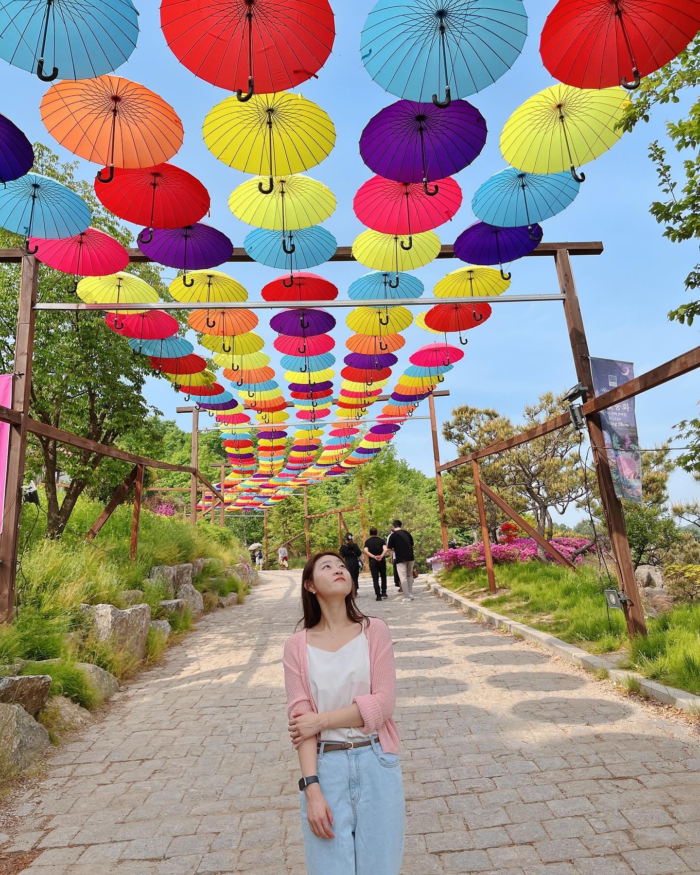 지금 난....

그냥그냥🌸의 지나가는 과정 중 하나

이번 봄도 안녕

다음 봄아 또 만나🌸