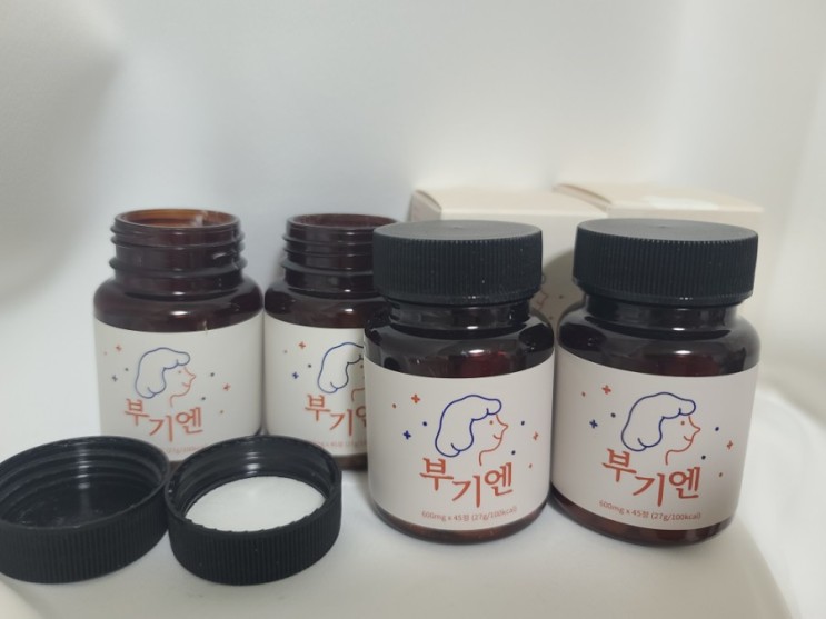 [이너배리어 부기엔 후기] ❣ [내돈내산] 두통 다먹고 두통 구매 [부기엔의 노예가되어버렸는데 브이젠으로 바꼈다고..?]