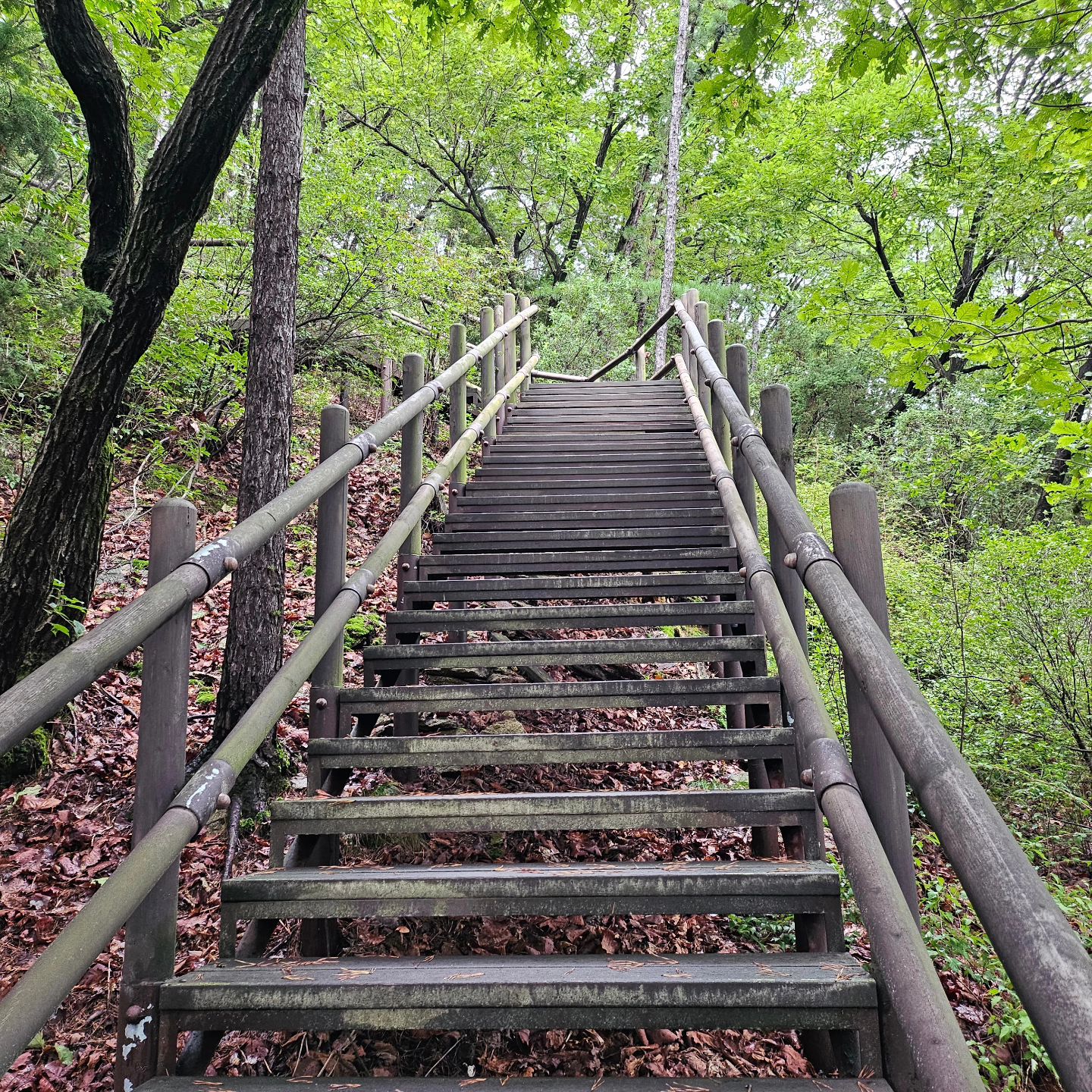 북한산둘레길 보루길
난이도 상(중)하
중코스
회룡탐방센터
사패공방  앞에서 시작
일부구간 맛보기

#보루길
#북한산둘레길
#북한산둘레길16구간
#회룡탐방센터
#회룡사
