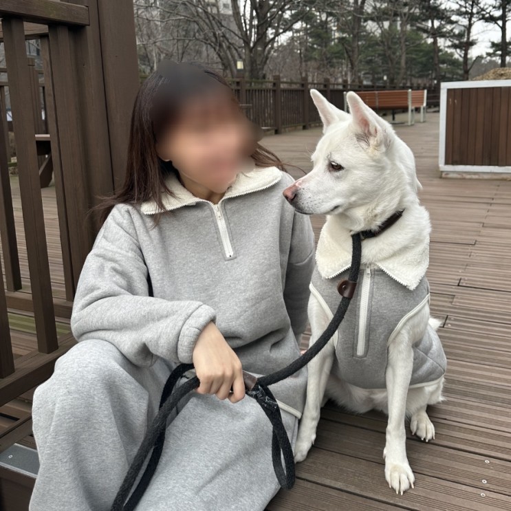 퀄리티좋은 국내제작 베럴하프 중대형견 커플옷