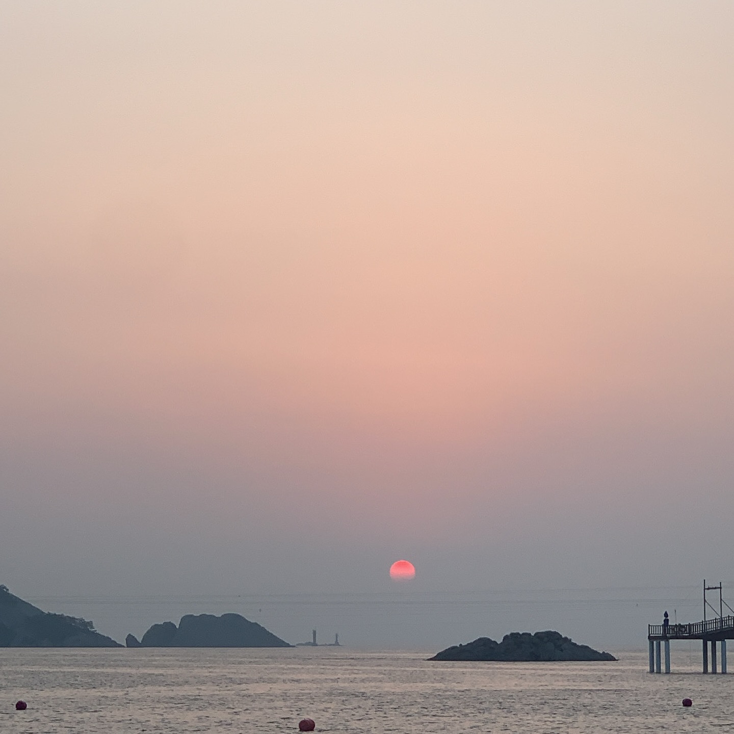 사라진당
