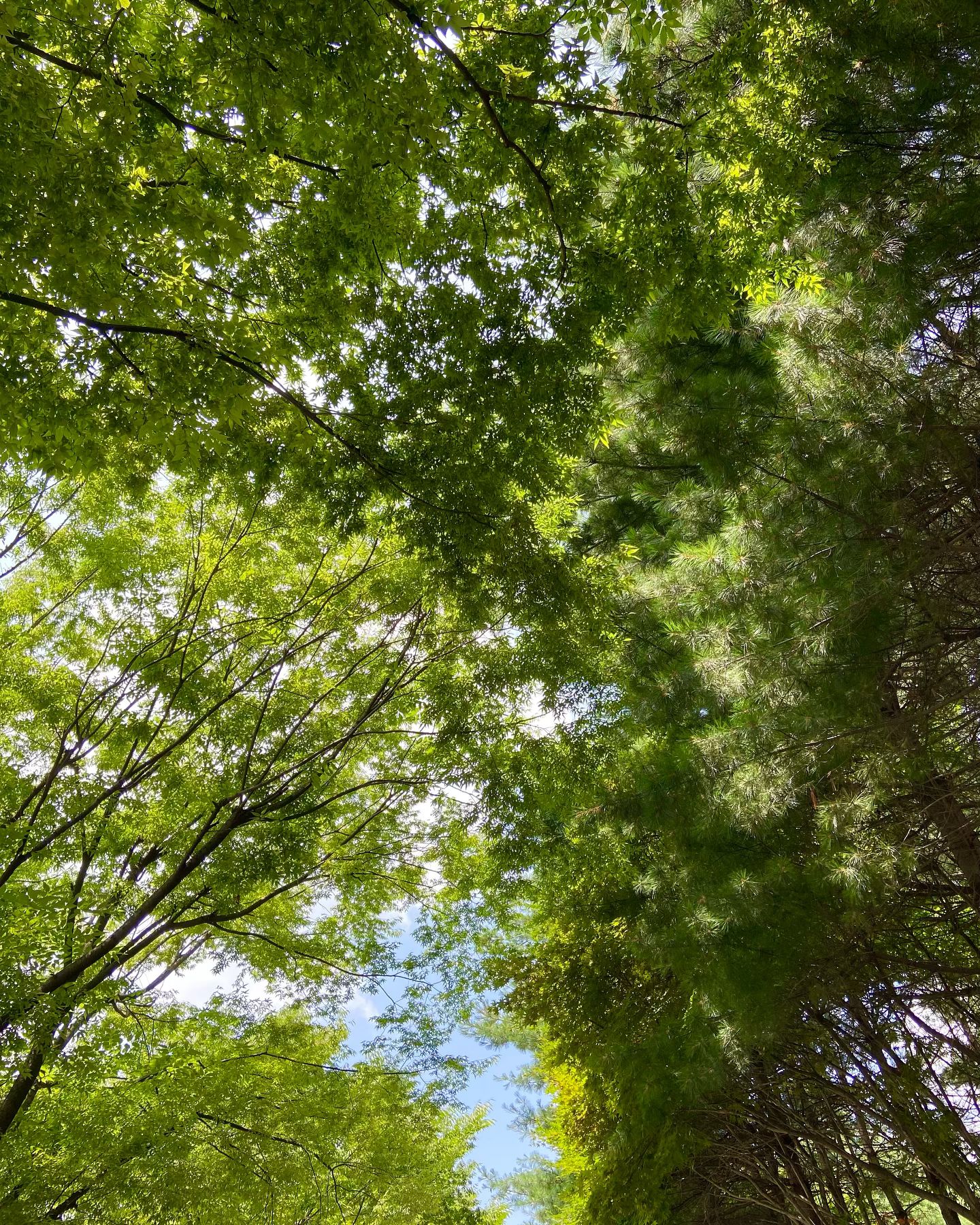 무더운 여름날, 자연과 함께🍃
.
.
#이영란의감성체험_가루나무모래흙 
#예술의전당 #의정부아기랑가볼만한곳 #아들맘 #주말일상