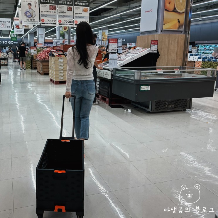 캠핑 웨건은 이제 그만! 접이식 폴딩박스 겸용 폴딩카트 대박