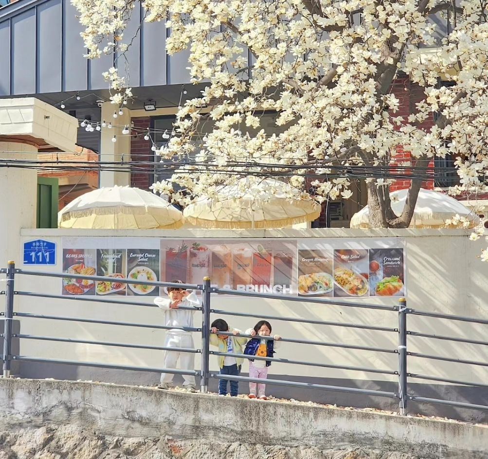 #좋아요

우리집 먹깨비들 때문에
브런치사진을 찍을수가없다

그래도
귀엽네

.
.
.
#카페스타그램 #봄꽃명소 #목련 #아기랑카페 #힐링모먼트 #몽글몽글 #날씨좋다 #따뜻해 #브런치카페 #빈스로드 #상봉카페 #중화동카페 #중랑구카페 #가족그램