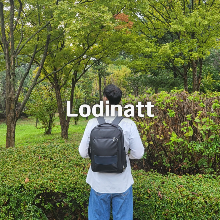 20대 30대 직장인가방 비즈니스백팩 추천 로디나트