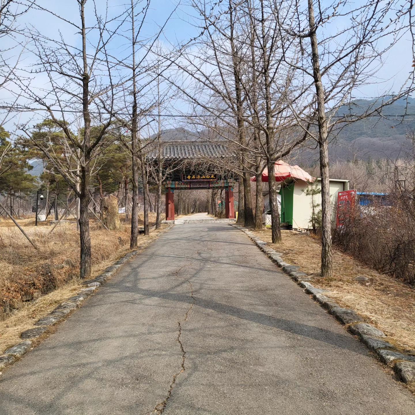 설에도 신나게 연휴즐기는중입니다
이따가 단양, 태백도 갈예정입니다♡
즐거운연휴되세용

#영주부석사 #봉화오전약수탕 #선비촌영주 
#여행스타그램 #노는중🎶 #가족여행👪