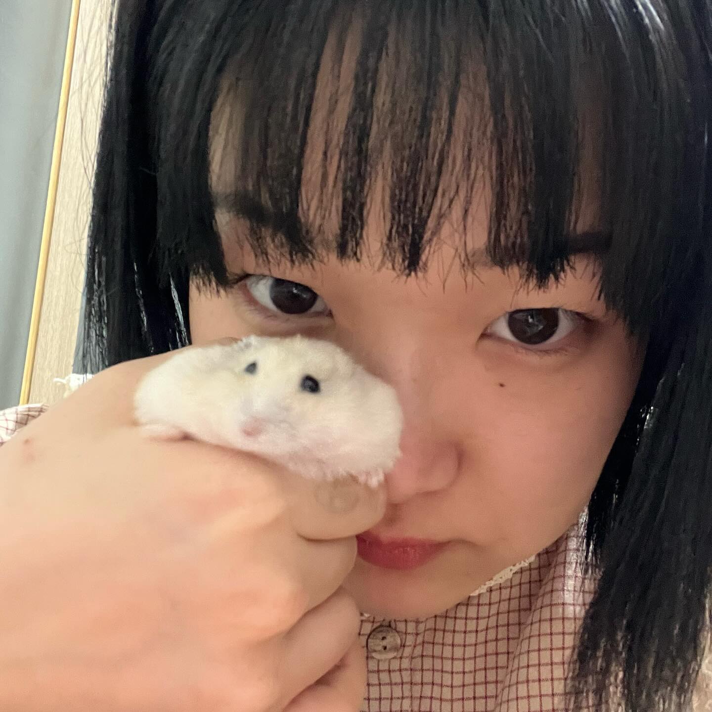 햄슷타 뽀삐뽀삐