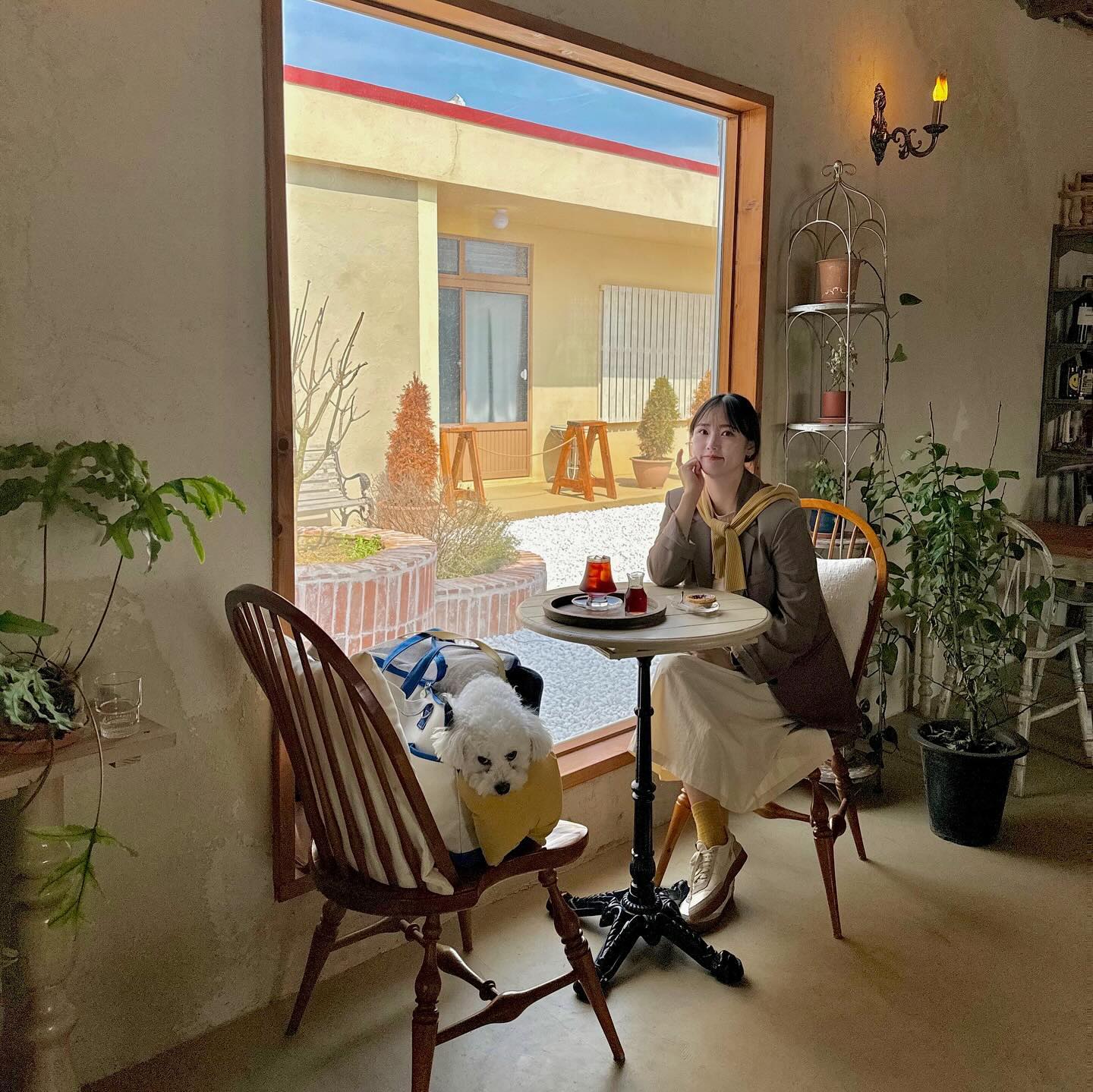 ☕

신상 카페를 좋아해서 가오픈 때 놓치지 않고 가려 했던 나인데 요즘은 금방 피곤해져서 1월 부터 저장해놓고 3월 말이 돼서야 다녀왔어요 ㅠㅠㅠ✨ 

요런 유럽 느낌은 늘 사랑 🤍 분위기도 분위기지만 애견 동반이 되는 카페라 그런지 테이블마다 있는 강아지들 덕분에 눈이 즐거웠다구요 🥰

📍후우
▫️제주 제주시 한경면 칠전로 145 카페 후우
⏰11:00 - 18:30 (Last order 18:00) 목요일 휴무
▫️노키즈존 11세부터 부모님과 입장 가능 
▫️애견 동반 가능 실내 실외 가방이나 소형 유모차만 가능