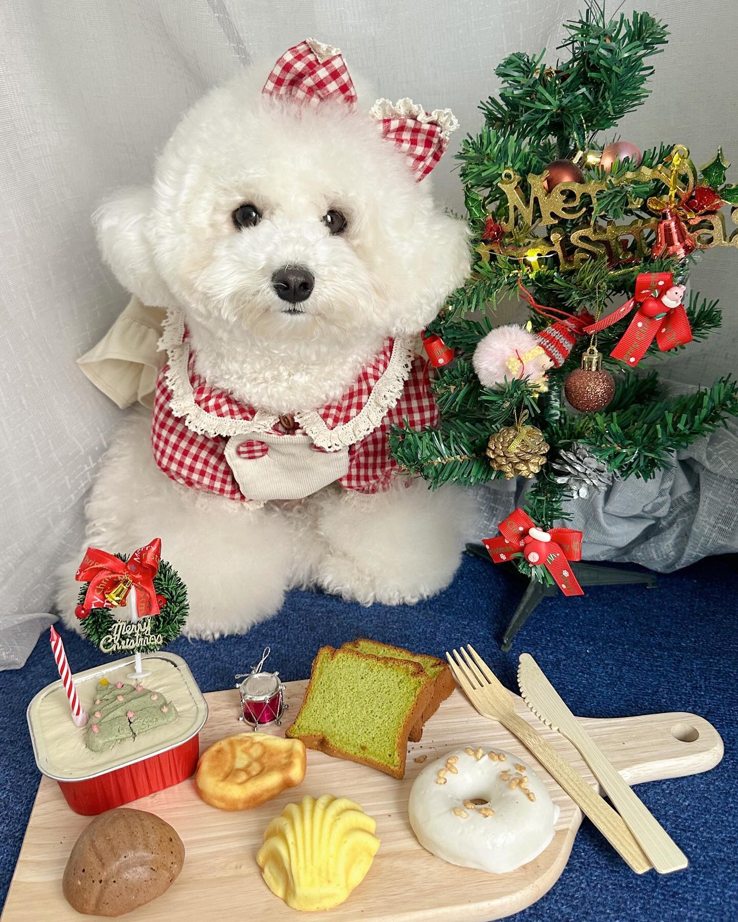 #제품재공 
🎄 요번 클스마스 홈파뤼는 나랑 하는거 어때? 🎅🏻

annie.cong 비건 베이커리로 육류가 안들어있어서
육류 알러지 있는 칭구들도 급여 가능해 :) 
아유 말모다~ 말모 말해서 모해 
한입 먹으면 그릇 바닥까지 청소해야대…..🐷

이쁘고 맛난거 먹구 행복한 클스마수 보내자 🐾

#애니콩 #크리스마스 #강아지크리스마스 #강아지선물 #강아지간식 #케이크 #강아지케이크 #붕어빵 #밤빵 #파운드케이크