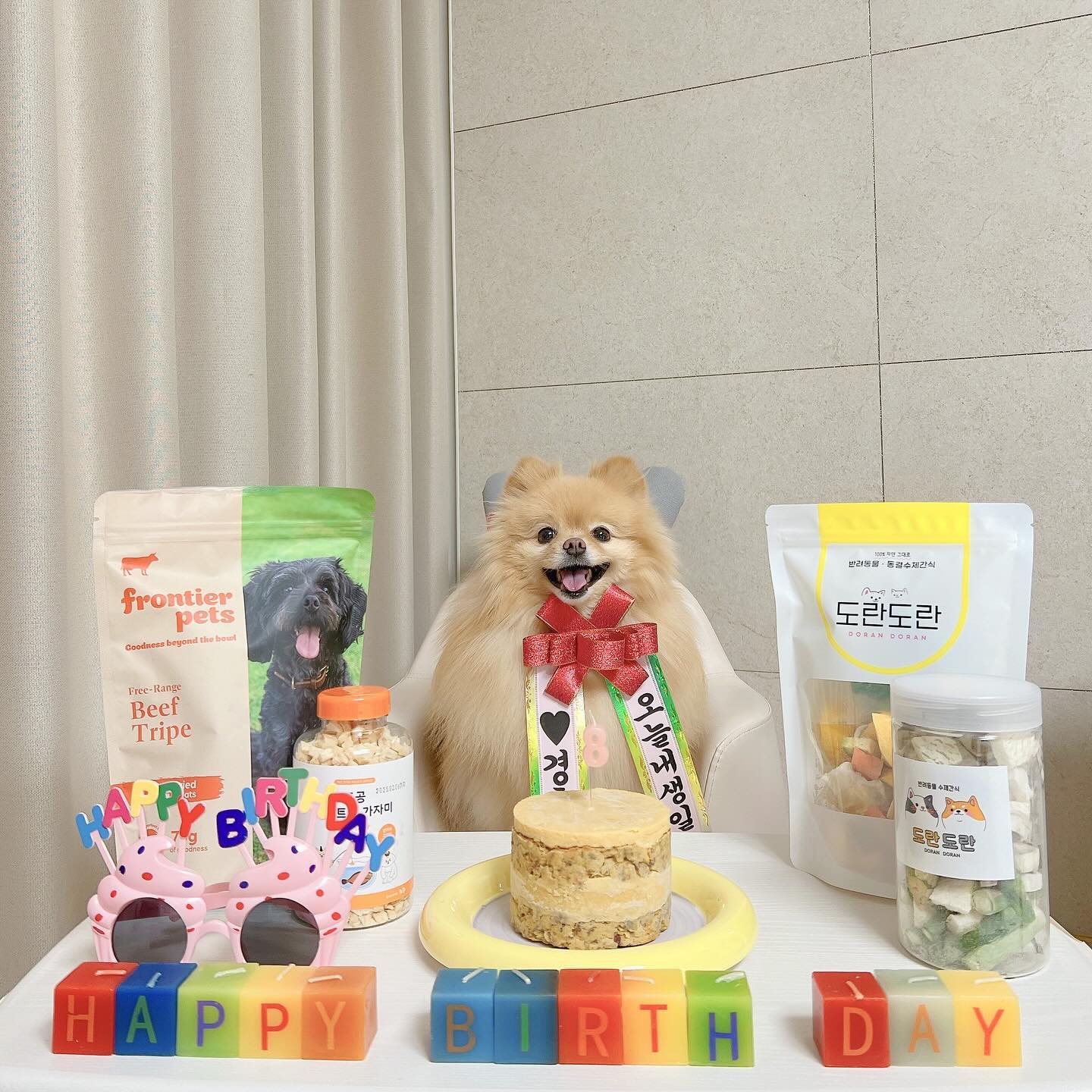 8월3일, 8번째 생일 파티🎂🎉❤️

아직도 애기 같은 우리 보리 벌써 8살이네🥹

함께 하는 시간이 줄어들고 있는거 같아 슬프지만
보리가 지금 우리 옆에 있다는거에 감사하게 생각 할께🫶🏻

보리야 항상 건강하고, 오래오래 함께해줘 알았지?
사랑해 언제나 작고 소중한 나의 아기 강아지야💗

#8살생일 #생일파티 #개딸램