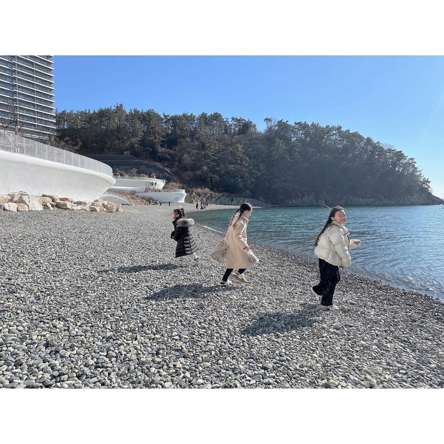 순수한아이덜🦭🤍