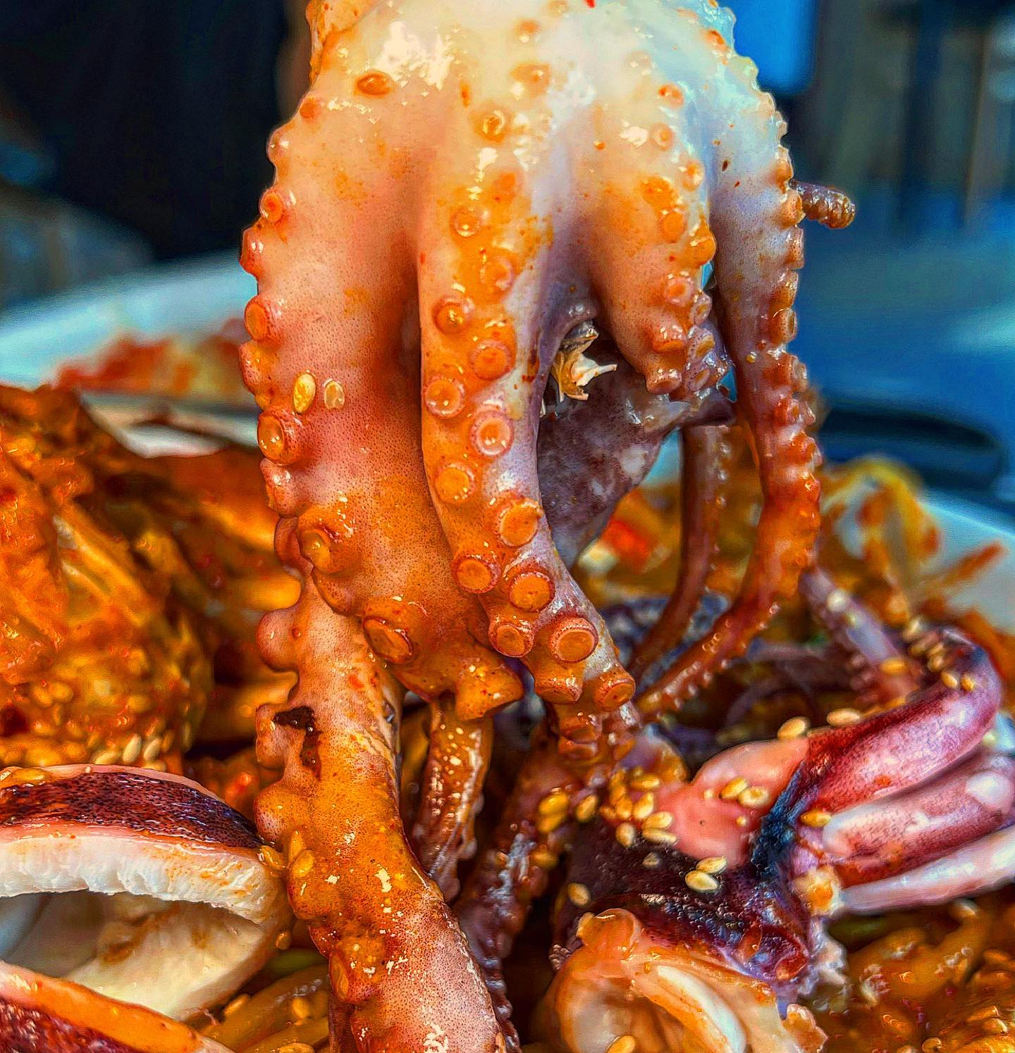 해산물 폭탄맞은 역대급 가성비 해물찜
🧡평일에도 항상 어르신들 북적북적
부전시장의 보물같은 해물찜 맛집
최근에 먹은 해물찜 중 탑이었어요
🧡낙지오징어 전부 통으로 들어가고
크고 알이 꽉찬 꽃게에 통통한 새우
알이랑 고니는 많아서 탑쌓을지경;
🧡이집은 양념이 진짜 킥인데
씹을수록 고소한 끝맛이 나서
사장님께 레시피 물어보고싶었..
🧡가격도 16,000원대부터 있고
회전율이 빨라 해산물도 싱싱하니
부전시장오면 이제 무조건 여기🥰
🧡최근에 마라맛 해물찜도 나왔던데
맵기조절 무려 5단계까지 있으니
맵부심있는 분들은 도전하러ㄱㄱ?
--------------------
📍서면 < #명자네아구찜 >
부산 부산진구 부전로152번길 70
jaeoak_choi
---------------------
👩🏻🦰부산여친의 찐맛집 추천은
busan_girlfriend
busan_girlfriend
busan_girlfriend
#부전시장맛집 #부전시장 #부산해물찜맛집 #부전동밥집 #서면아구찜 #부산아구찜 #부전역맛집 #부전동맛집 #부산해물찜