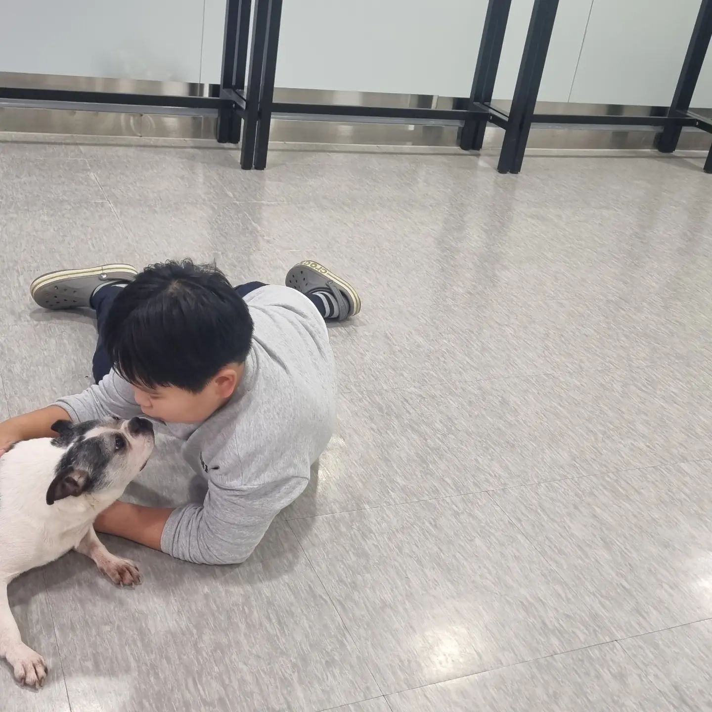 구리시 반려동물 문화센터 방문
귀엽다
유기견 봉사활동하기
#유기견입양 #유기묘입양 #사지말고입양하세요
#구리시반려동물문화센터