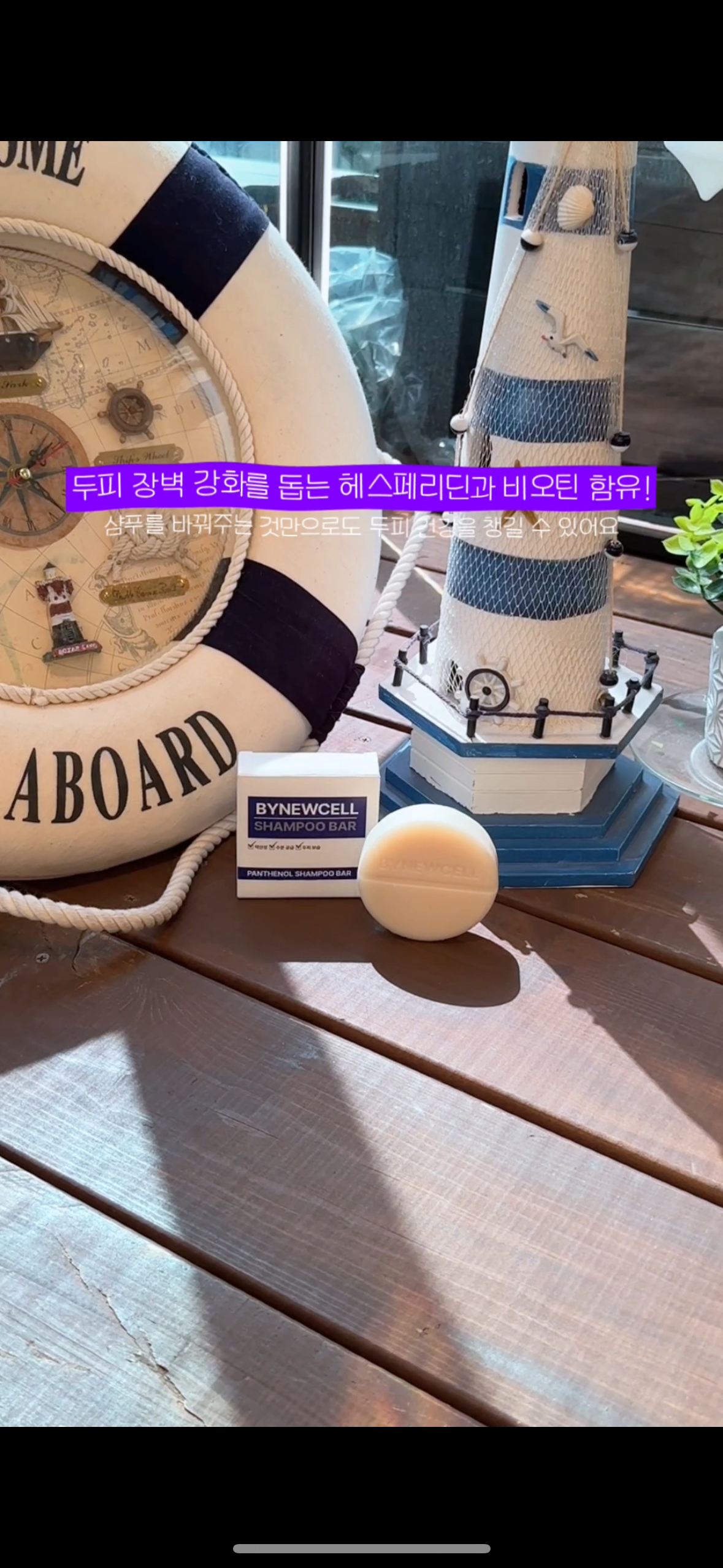 바이뉴셀
