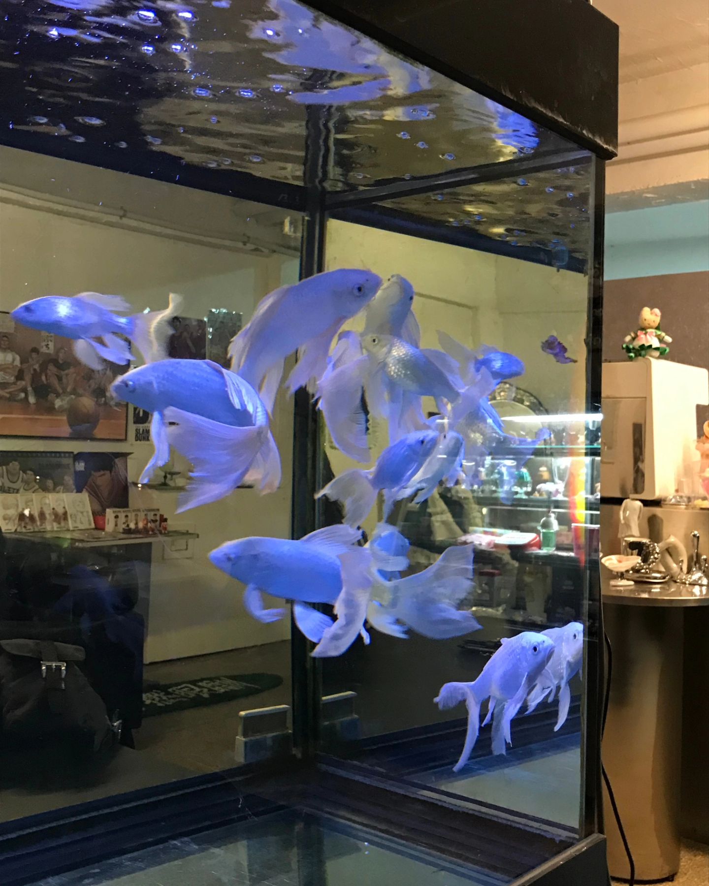 🐳
