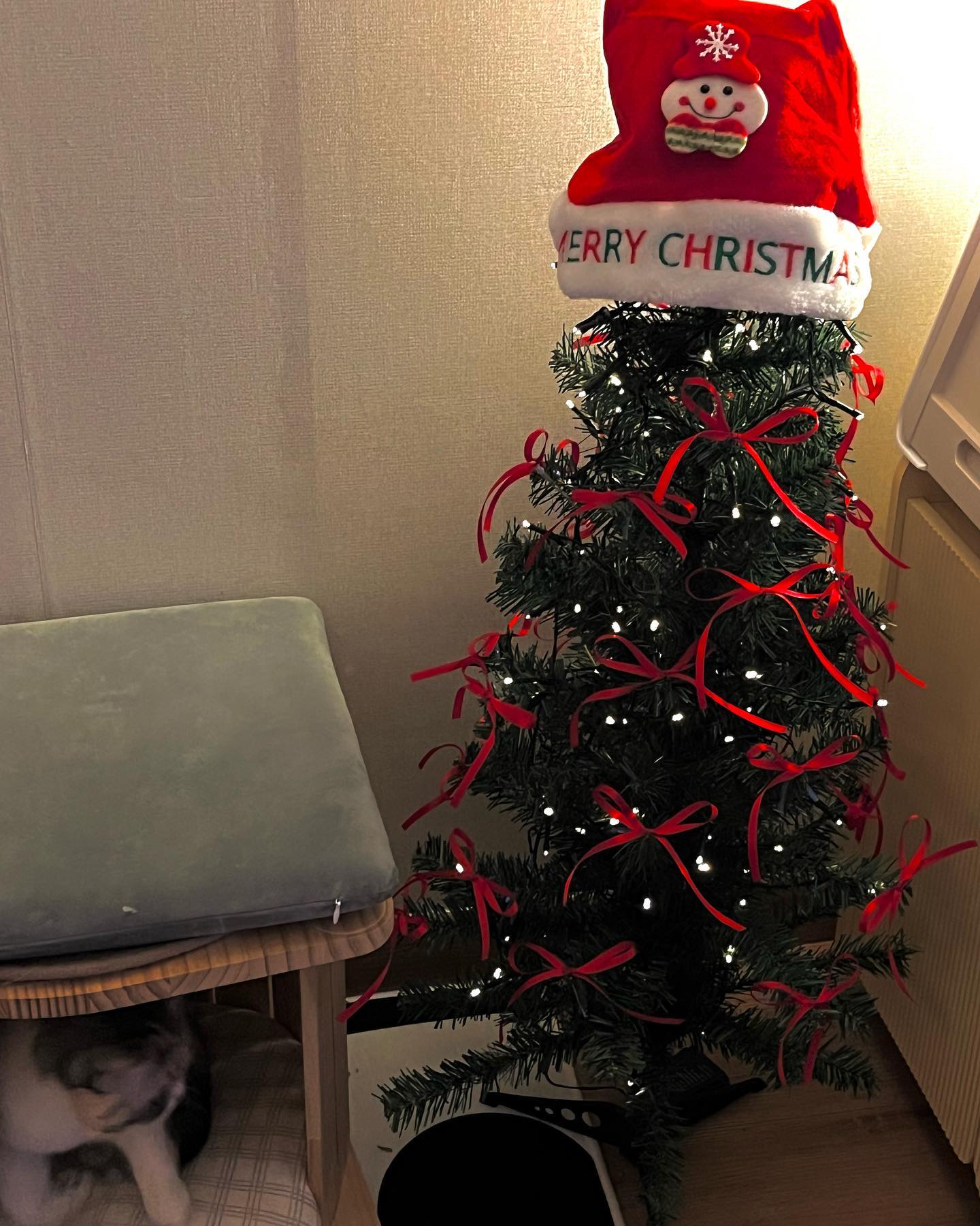 우리집은 벌써 클슈마스...🎄❤️