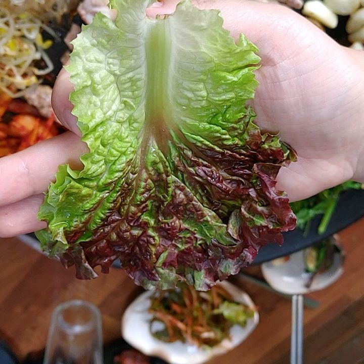 #가경동맛집
#더덕솥뚜껑삼겹살가경점
#가경동삼겹살맛집
#냠냠
#가경동회식장소
#가경동고기맛집
#가경동솥뚜껑
#더덕무침
#더덕솥뚜껑삼겹살
#가경동홈플러스근처맛집

더덕솥뚜껑삼겹살가경점

운영시간
11:00~23:00
매주월요일휴무

위치
충북 청주시 흥덕구 서경로28번길 12
0507-1443-8882

단체가능
네이버예약가능