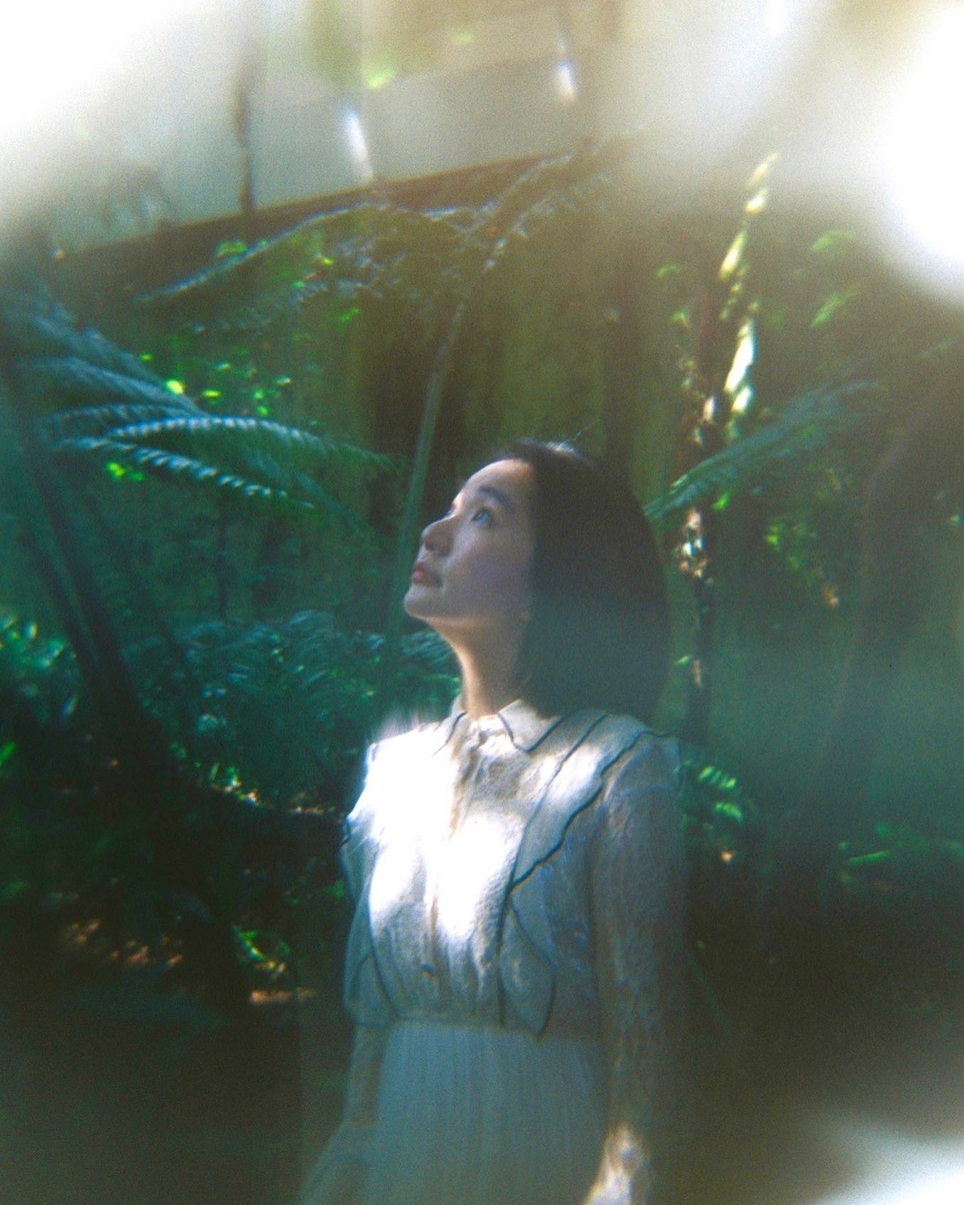 🌳Botanical garden 🌳