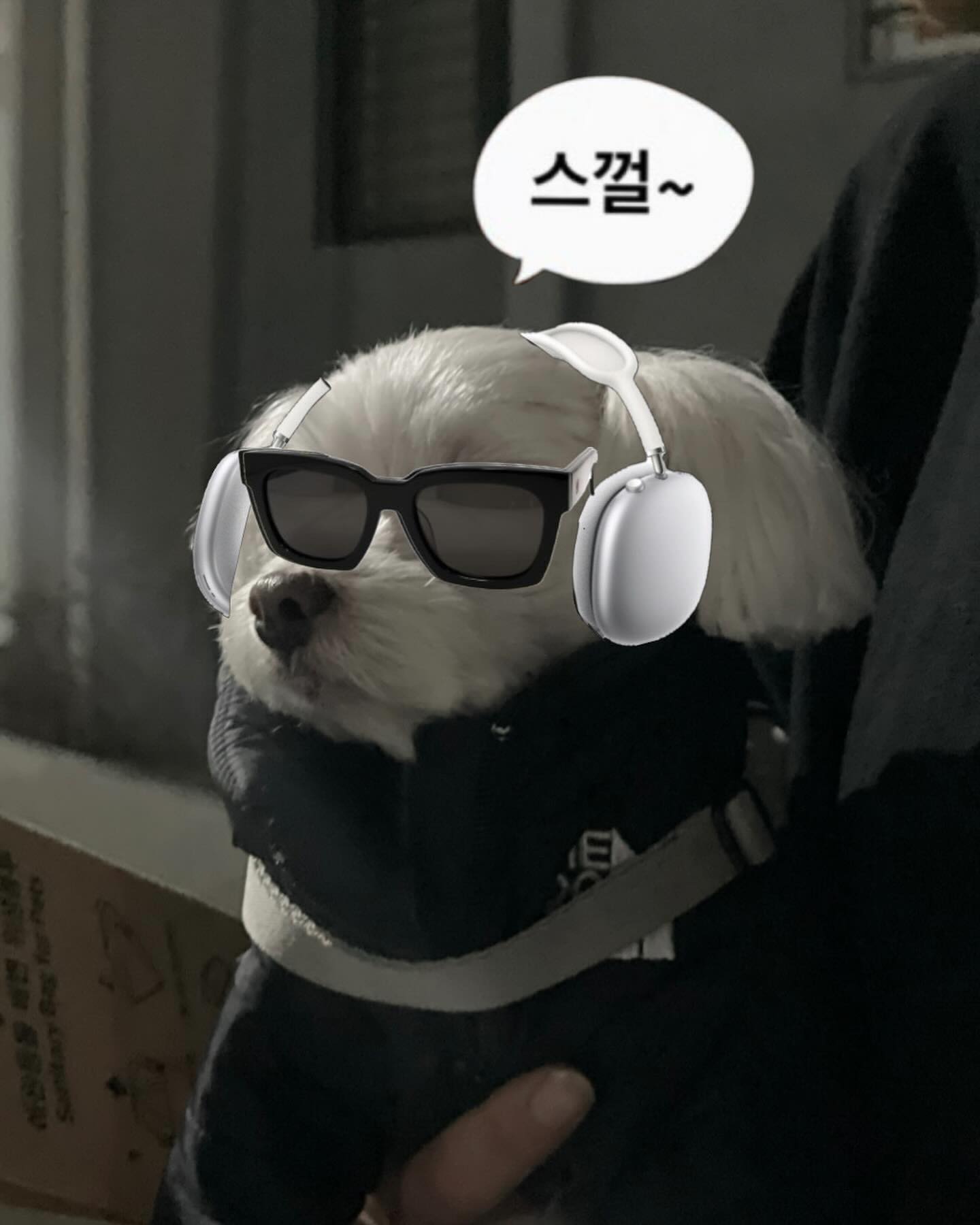 우리집..나미집 꾸꾸는 귀여워..🐶🖤🤍

마지막=초토화..!!!💕💕
아이템 풀세팅 꾸꾸=심장폭격기..💕