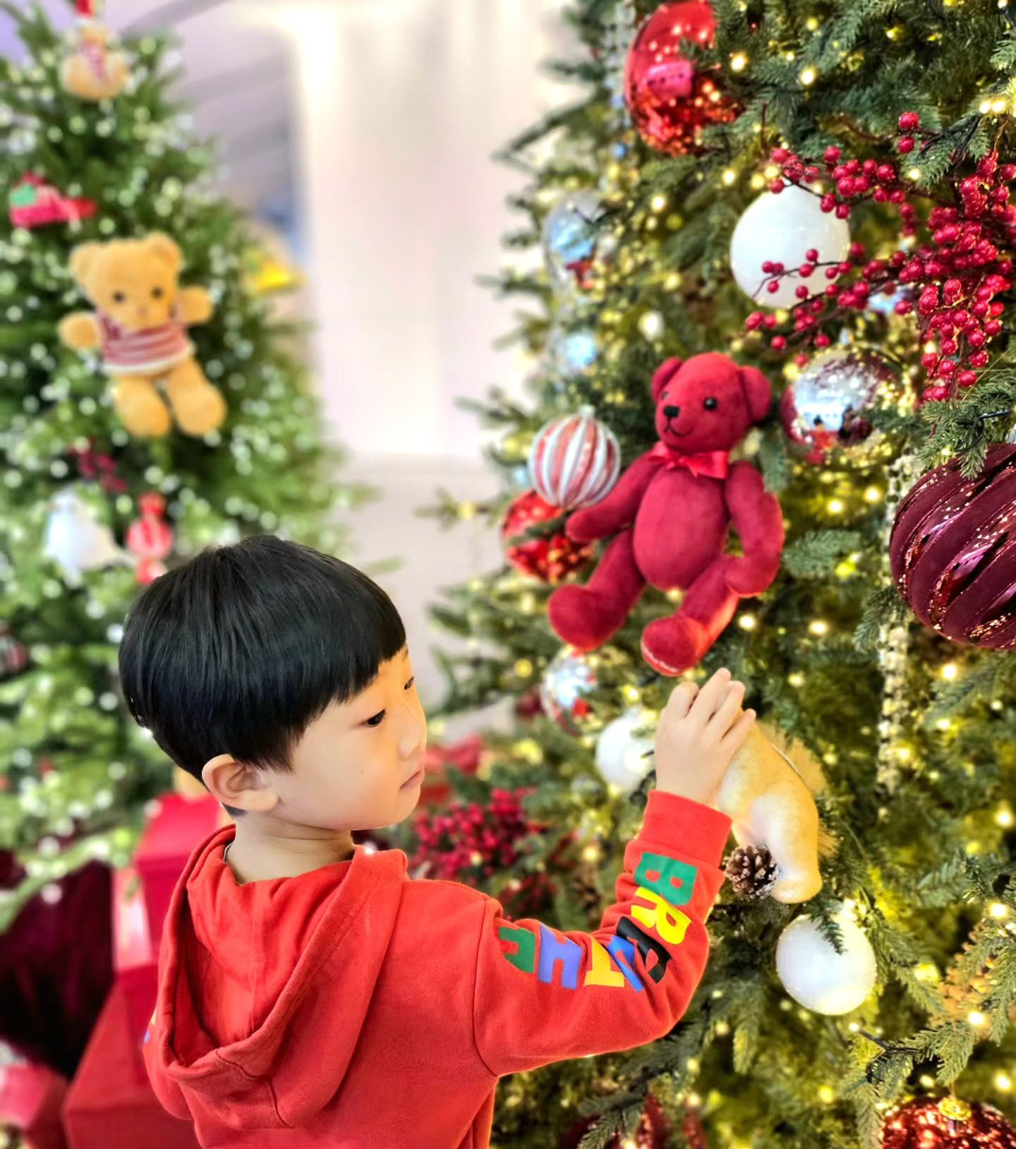 크리스마스 즐기기🎅⛄️
예쁘다 너도 트리도🎄