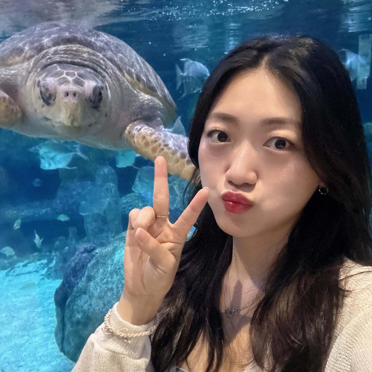 [Oklahoma Aquarium]

여기는 왜이렇게 다 큰건데?! 
심해에 들어간 것 처럼 어두운 분위기로 몰입도 최고
+ 이렇게 많은 상어도 처음보니 신나버렸다요☺️

가이드 민짱구 매일 예쁜곳 데려다줘서 고마오💛

#미국여행 #오클라호마 #털사 #oklahomaaquarium #추석