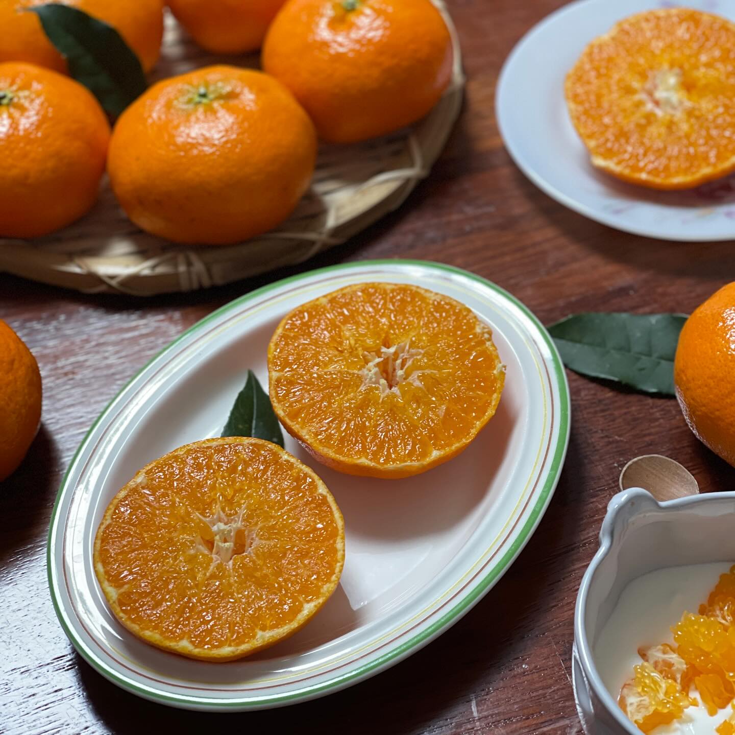 인생 🍊레드향을 만나지 못했다면
고민없이 💜마켓민팅 🌈힘썬 레드다이아 레드향 추천

💍레드다이아는 힘썬 고당도 14브릭스 이상의 만감류를 칭하는데
올해 첫 🍊레드다이아 레드향이 입고되었어요😍

범구리랑 예전에 선물받은 레드향이 너무 시고
맛없었던 기억이 강해 🍊레드향은 맛없는 과일이라 생각했는데
새로 입고된 힘썬 레드다이아 레드향먹고 뿅🎵 반했습니다

열심히 돈벌어 뭐하냐며 ㅋㅋㅋ
1월 2월에만 반짝💡 즐길 수 있는 🍊레드향 사먹자고
벌써 레드향 두박스째 뿌시는중🤭🤭🤭

💜마켓민팅 힘썬 레드다이아 레드향은 다른 판매처와 다르게
가정용과 선물용을 구분하지않고 모두 선물용급 레드향만 가득담았고요제주 천혜자연의 대기운을 가득머금어 신선함은 물론
☑️가격이면 가격 ☑️품질이면 품질 ☑️당도면 당도
모든게 완벽한 🌈달콤달콤 맛있는 🍊레드다이아 레드향

설 선물 추천은 물론!
비타민 가득 제철 과일 섭취로 건강까지 챙기세요😍

#마켓민팅 #설선물추천 #레드다이아 #레드다이아레드향 #레드향 #레드향🍊 #레드향5kg #맛있는레드향 #믿고먹는 #힘썬 #힘썬감귤 #설선물 #레드향대과