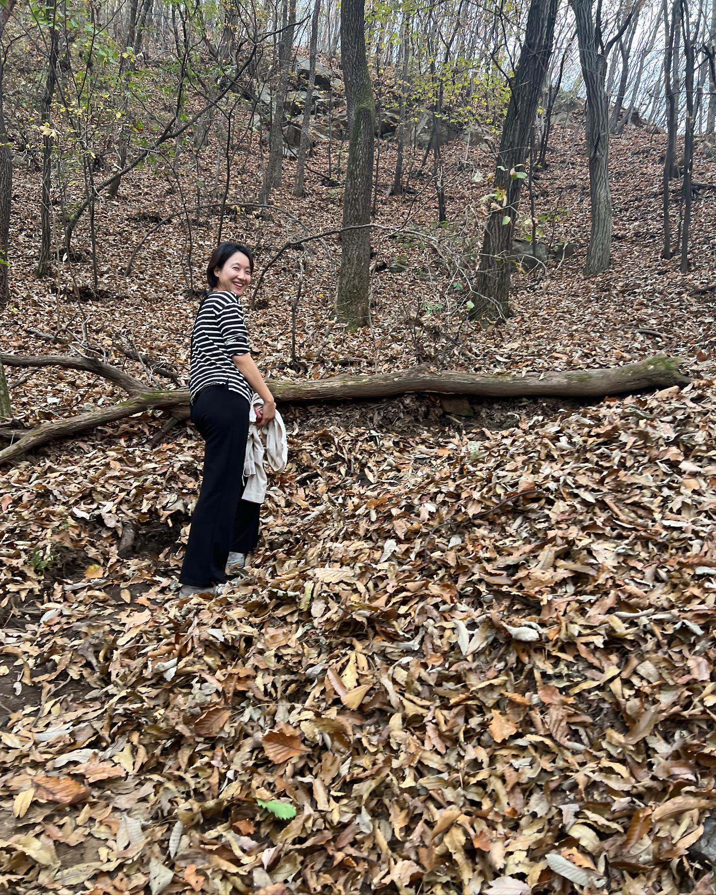 남편 연차일을 맞이하여 #부부등산 
가을산에 올라 단풍 구경 해야지!
하는 기대를 품고 등산했는데,
낙엽 구경만 실컷 하고 왔네 ^^

#가을등산 은 쉽지 않은 것이었다.
등산로가 낙엽으로 다 덮여서 보이지도 않고
잘못 밟으면 미끄러워서 더 집중해야함. 

날도 덥고 바쁜 마음으로 올라갔다 오느라고
지난번 보다 훨 힘들었음 🤣

#등산그램 #석성산 #용인맘 #취미생활