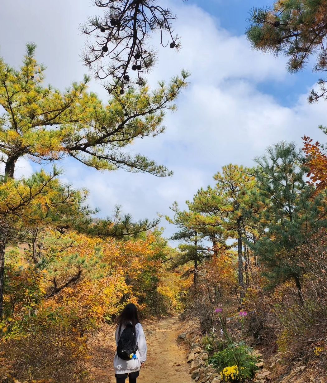 .
우리부부 첫 등산⛰️

#가을등산 #관악산 #관악산둘레길 #국기봉🇰🇷