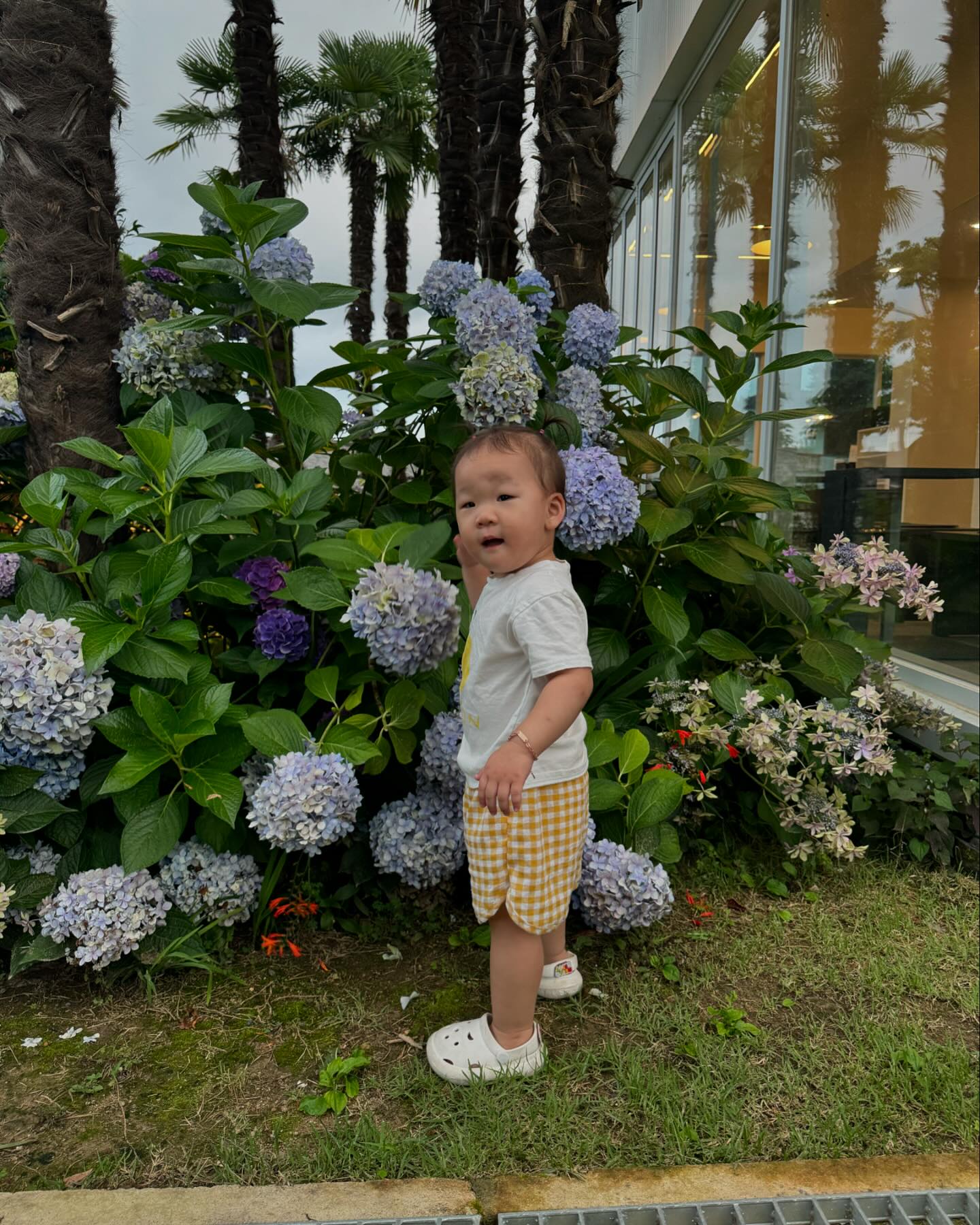 👶🏻+661일🫶

오늘도 하원후 친구들 만나서 놀기🤍
공동육아는 사랑이쥬😍
사진에서 신남이 보인다 ㅋㅋㅋㅋ🤣🤣

#윤서유니#공동육아는사랑입니다❤️ #호랑이띠친구들🐯 #비눗방울놀이⚪️
