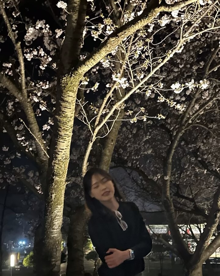 콘텐츠