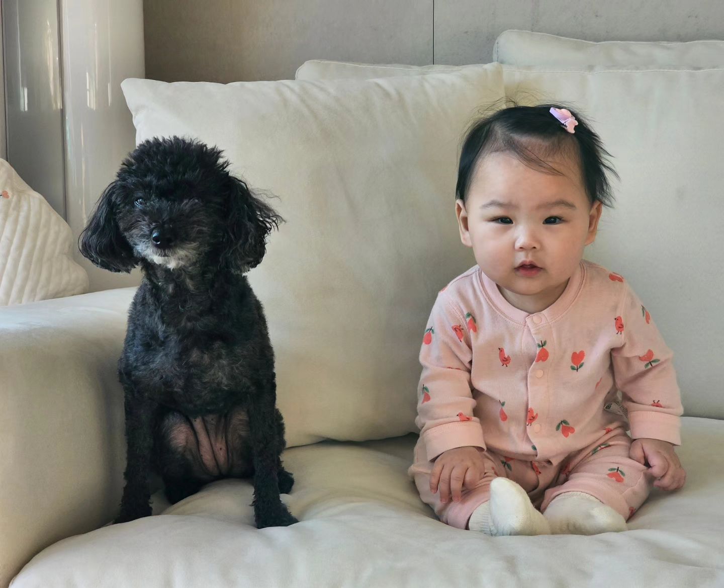#친해지길바래 🫶🏻 🐶🩷👶🏻 🫶🏻
