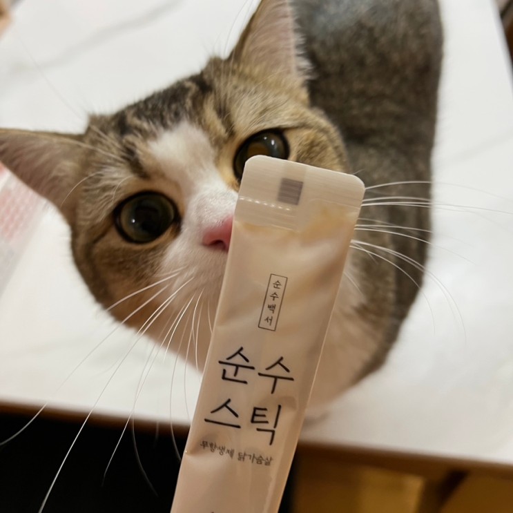 고양이 간식 추천 / 무항생제 츄르 : 온리버디 순수스틱 무항생제 닭가슴살