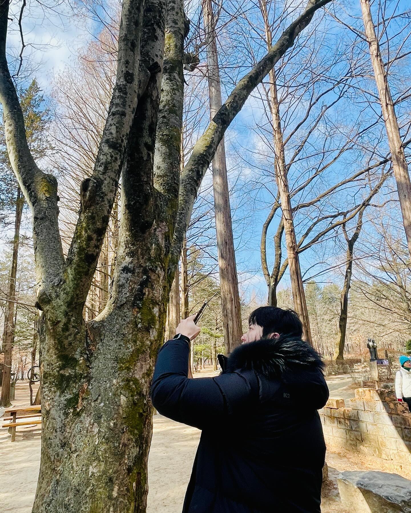 콘텐츠