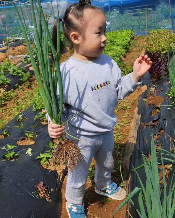 #농부 #아기농부 #텃밭체험
주저 앉은 열정적인 아기농부 #딸래미